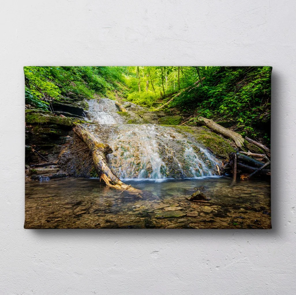canvas on wall.jpg