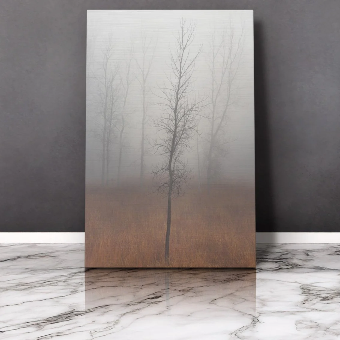 2to3 ratio verticle reflected.jpg