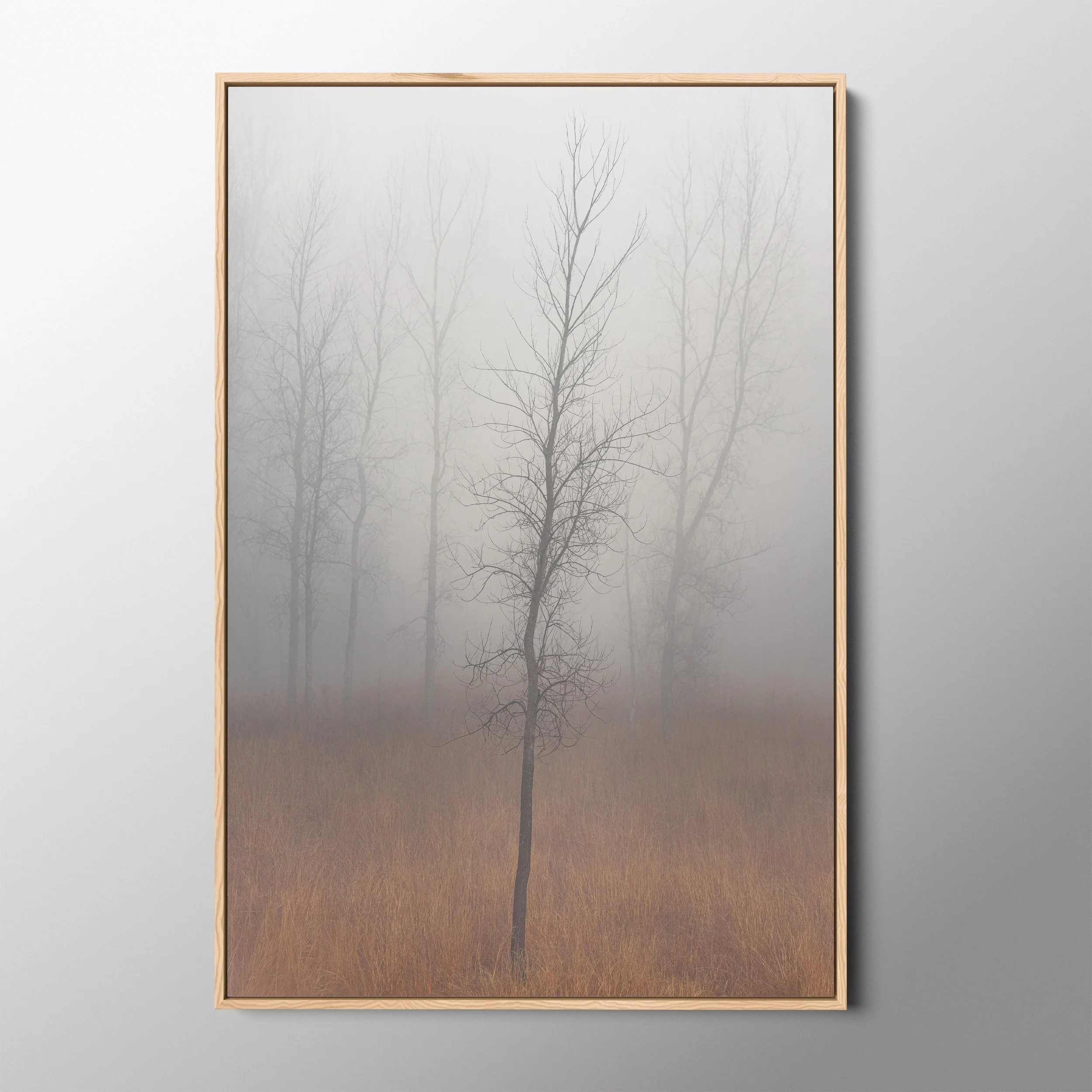 wood float frame.jpg