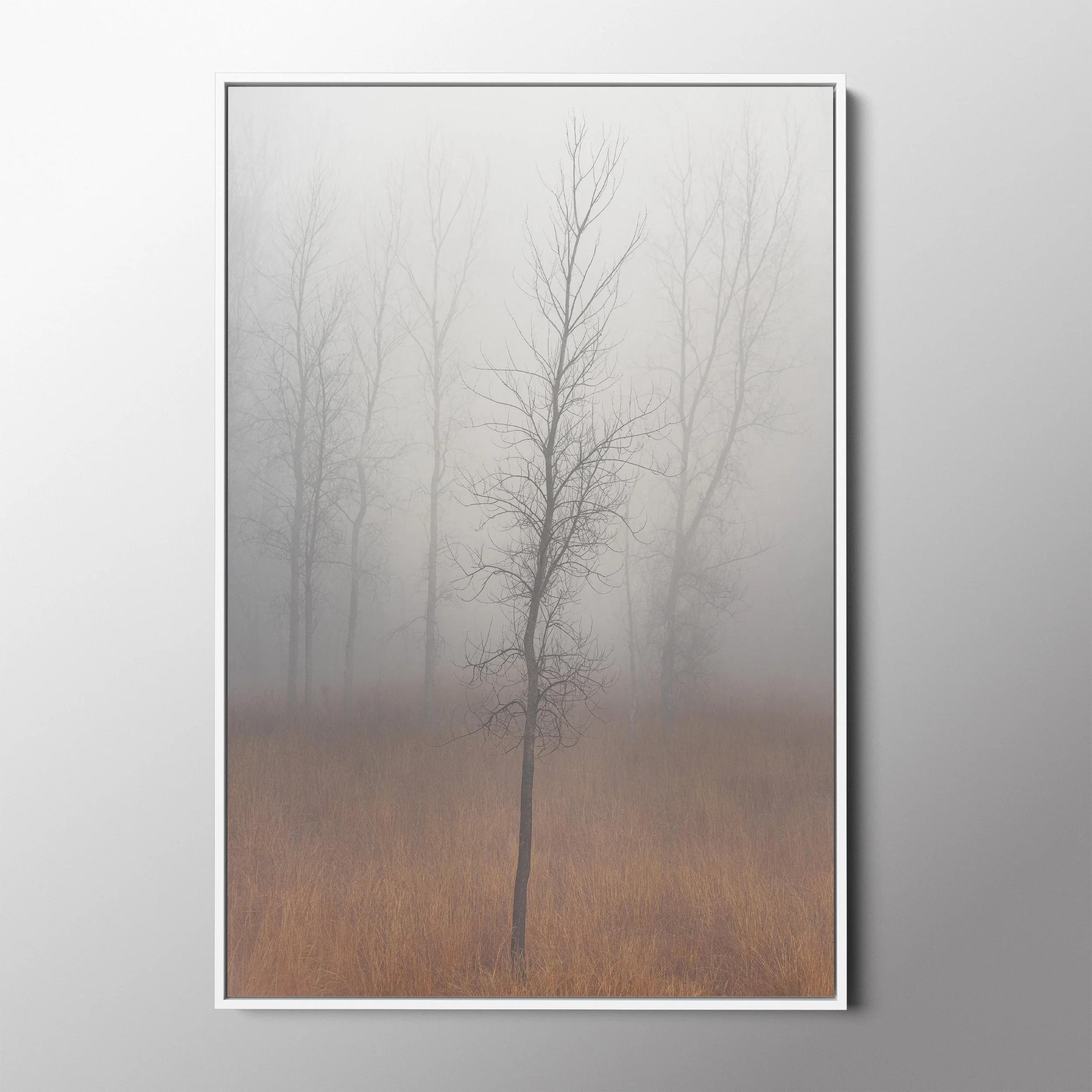 white float frame.jpg