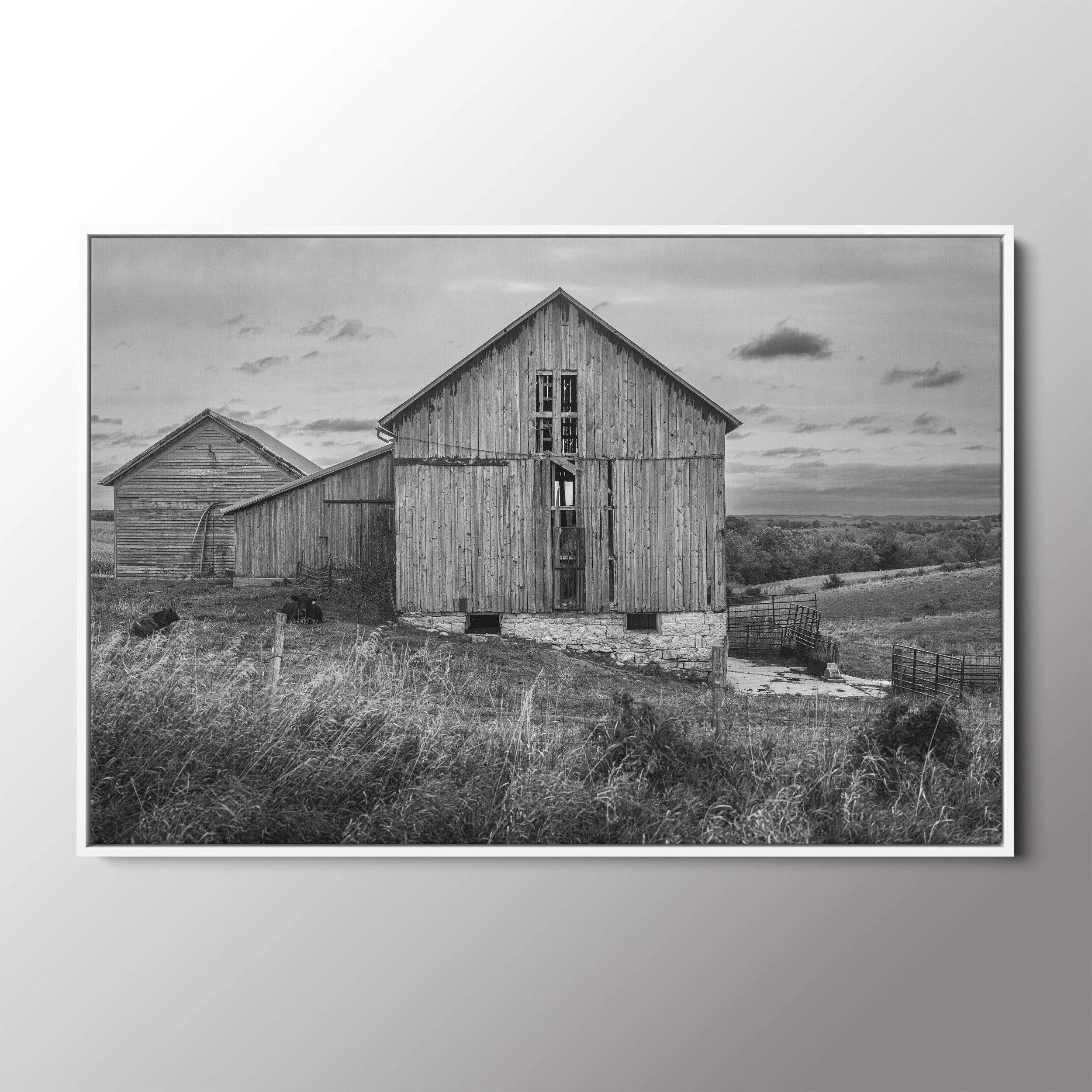 white float frame.jpg