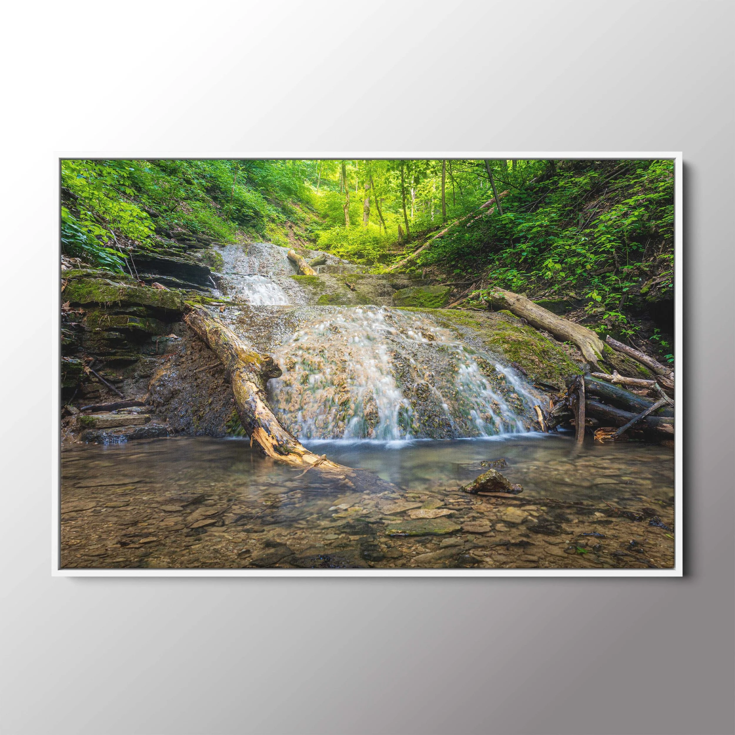 canvas float frame white.jpg