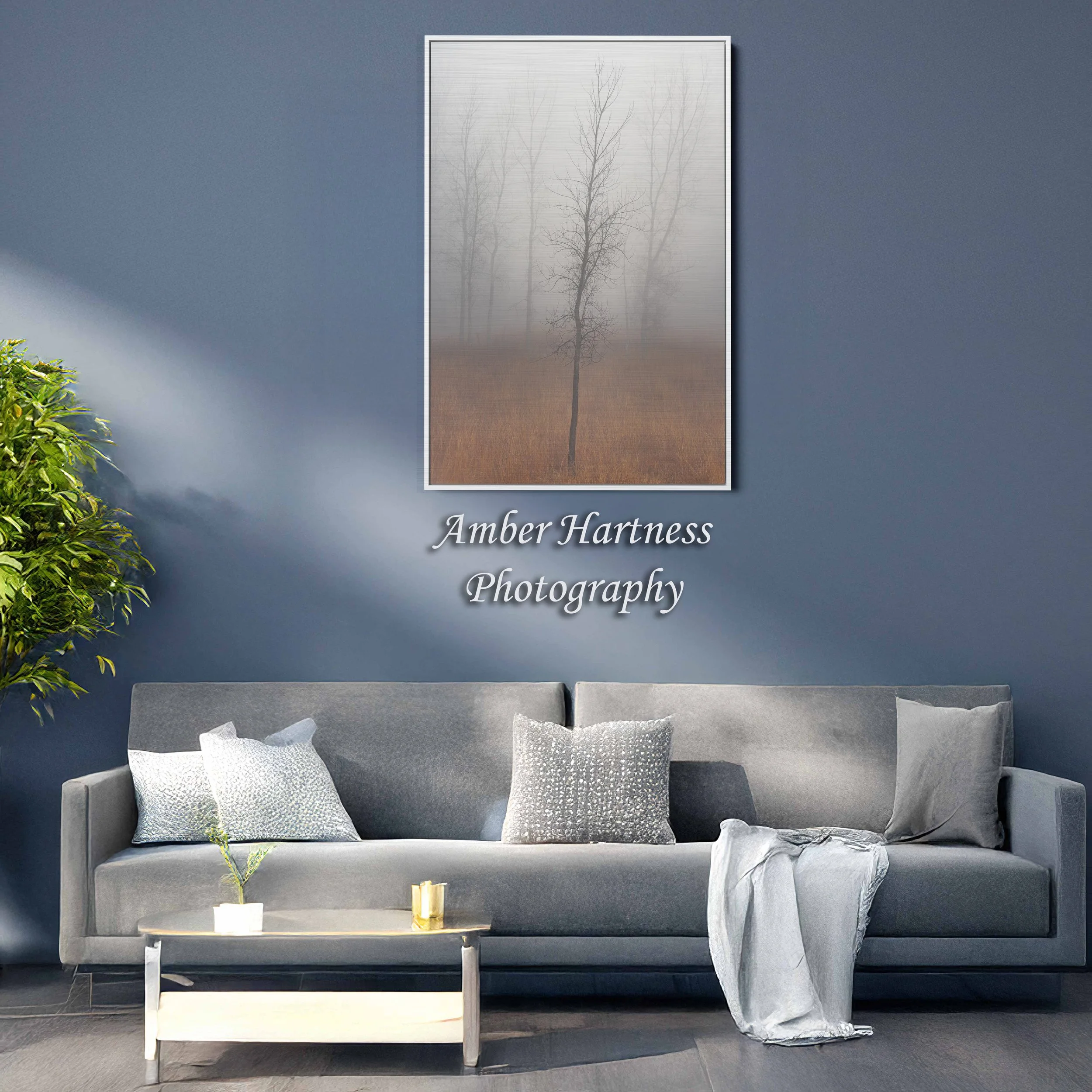 float frame living room blue wall.jpg