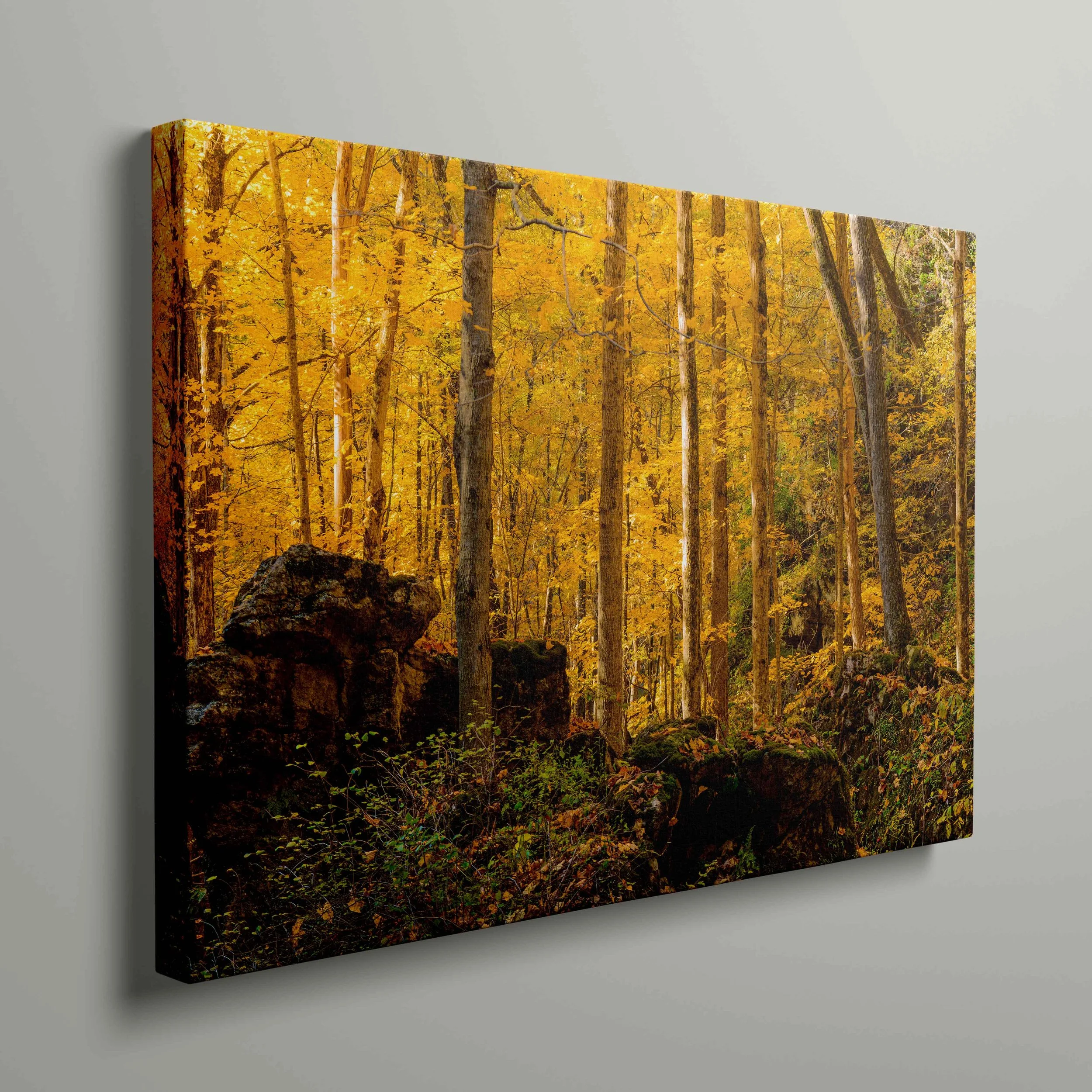 angled on wall-Recovered.jpg