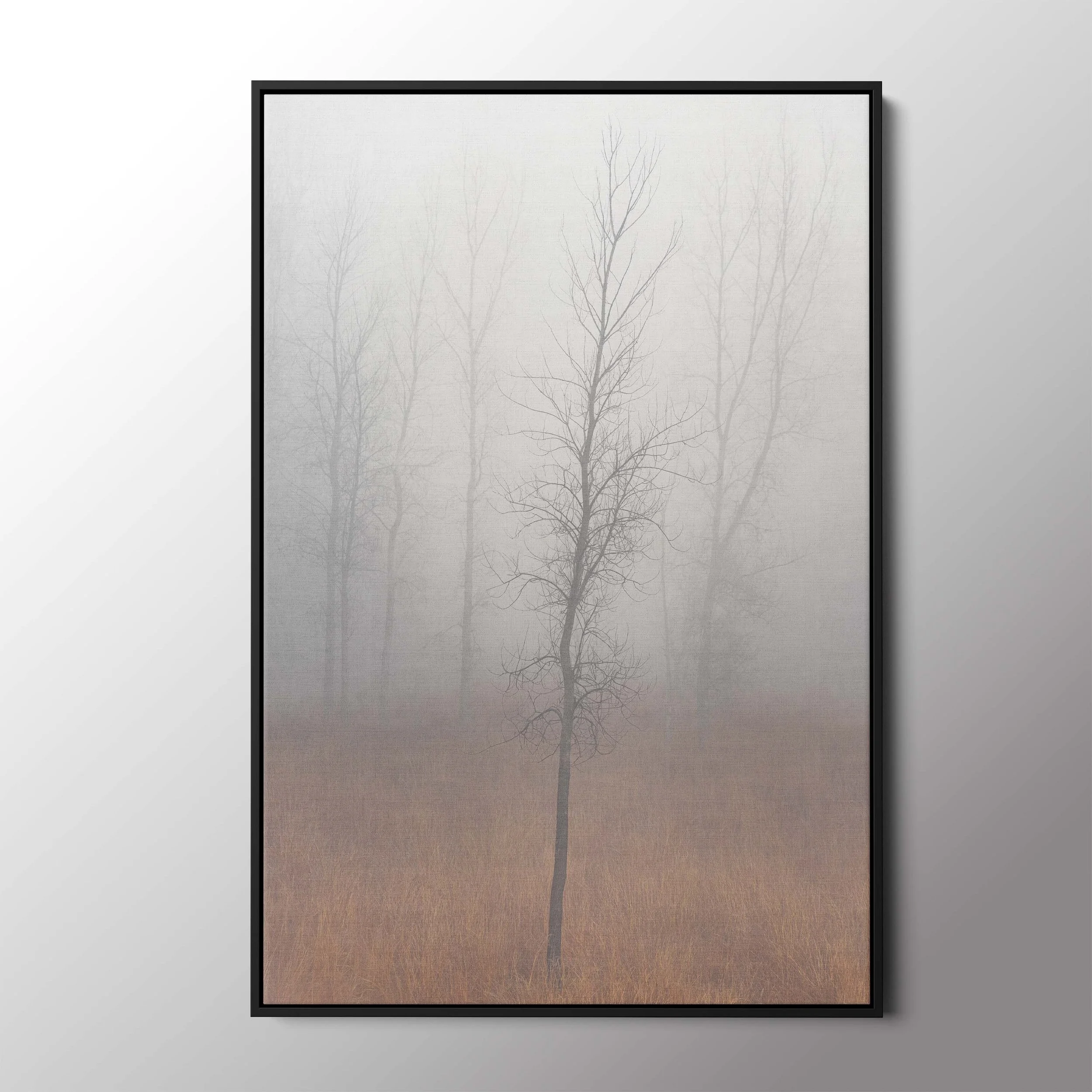 black float frame.jpg