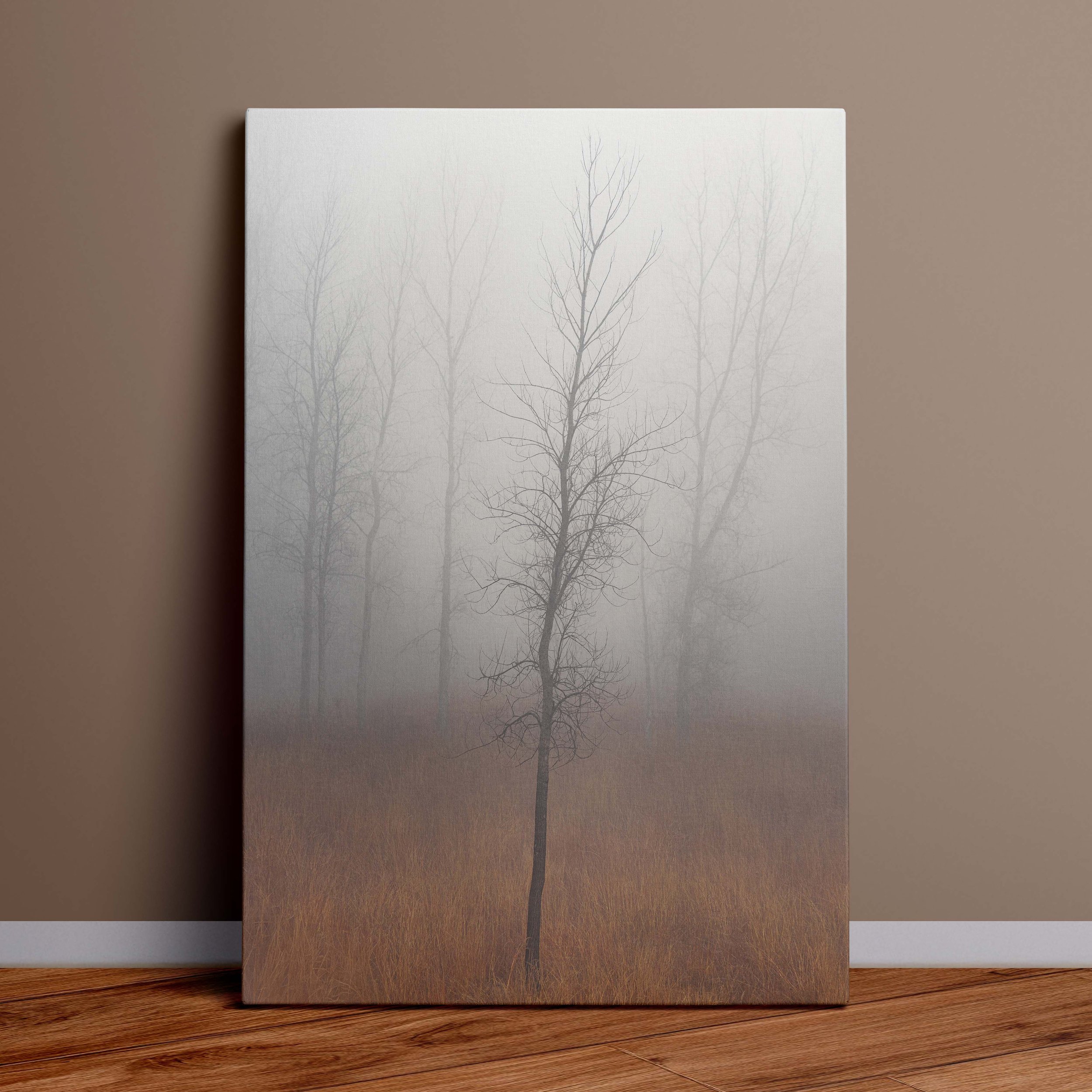 canvas on floor no reflection.jpg