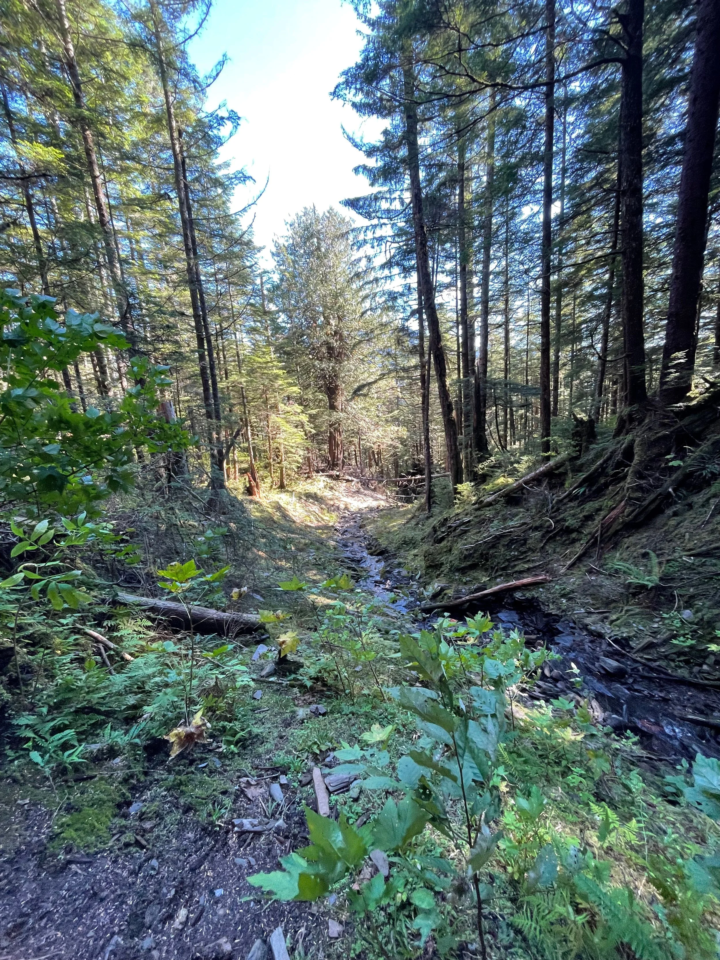 We are Built to be Alive