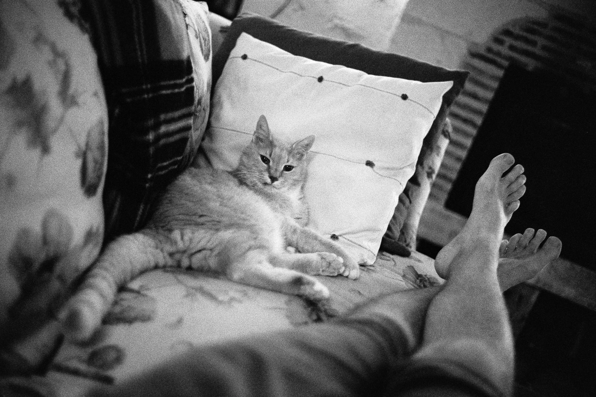 29 - 2023-06-07-08-26-positive-flickr.jpg