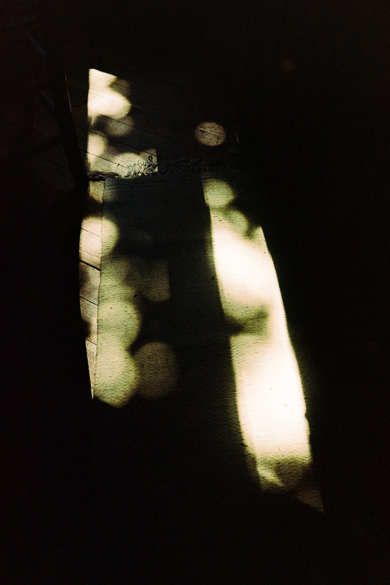 45-2024-6-positive-flickr.jpg