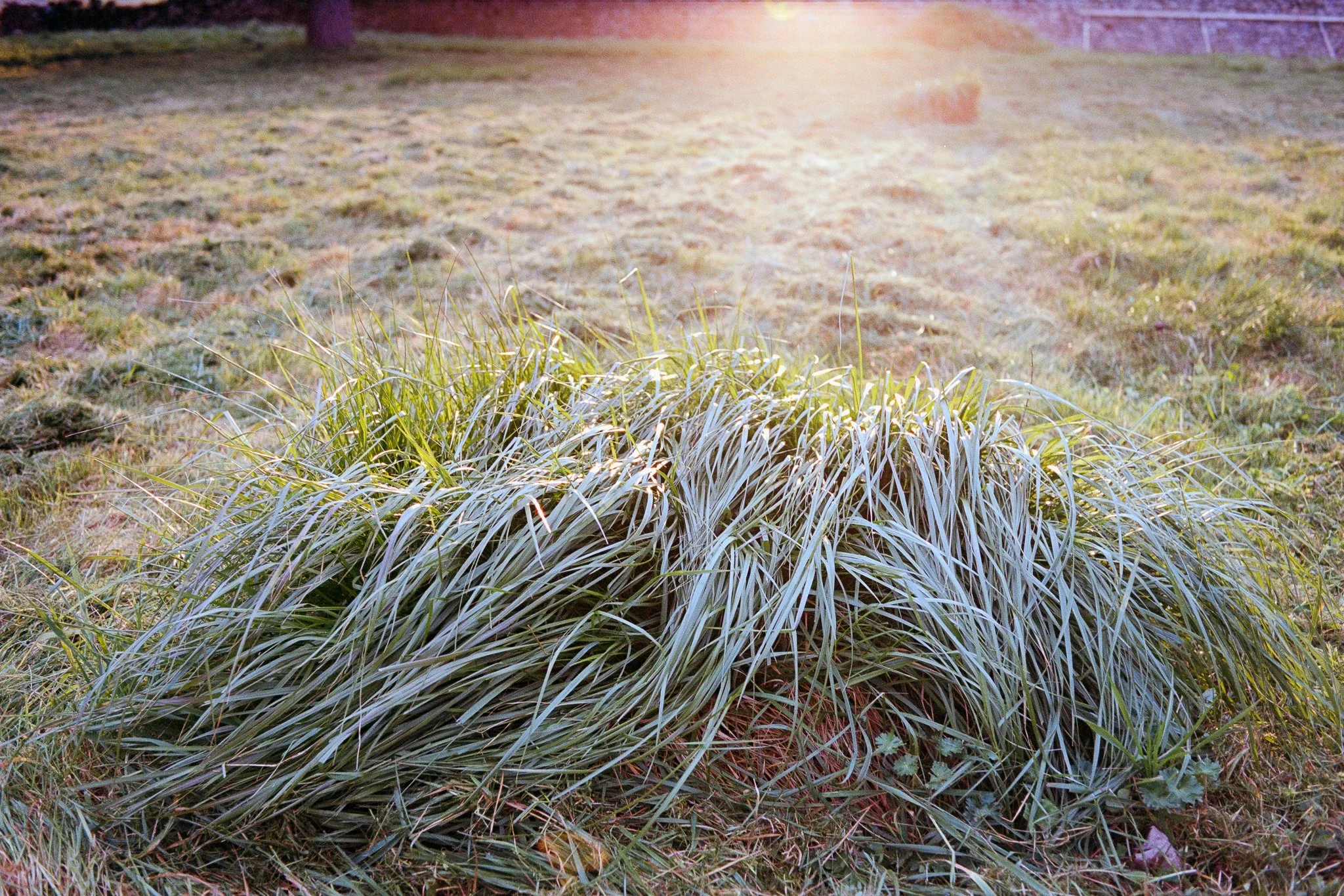 77-2026 Thailand [portra 160]-13-positive-flickr.jpg