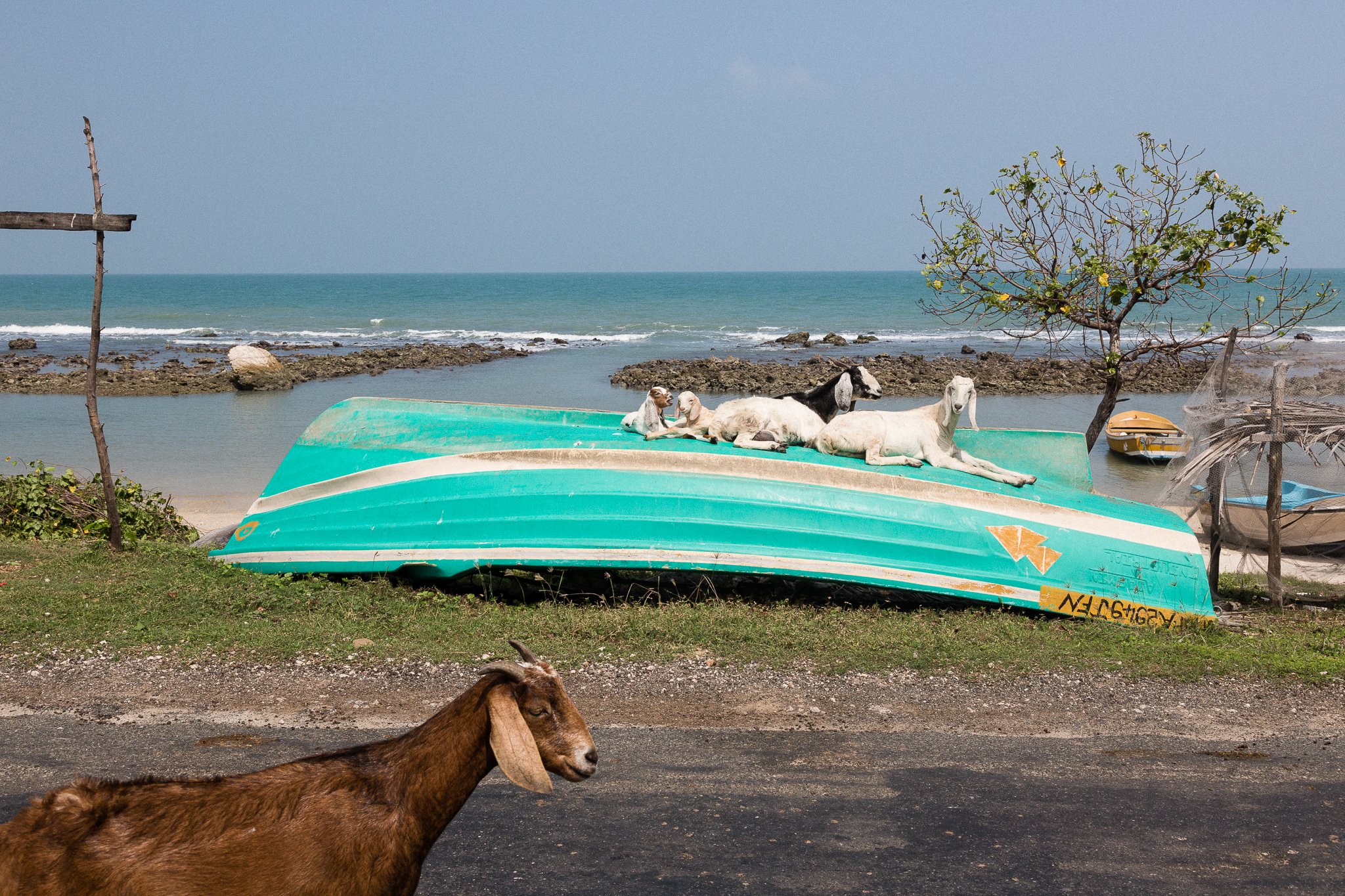 Point Pedro, Sri Lanka
