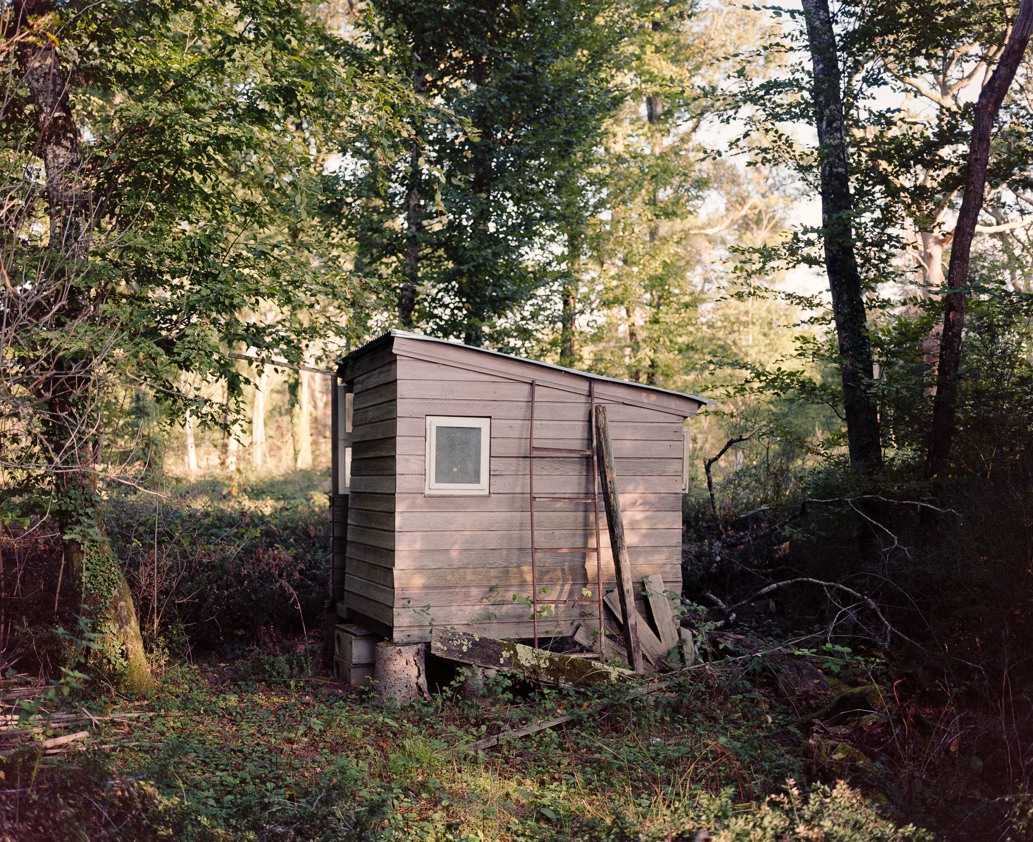 2025-08 Aize [roll 52]-7-positive-flickr.jpg