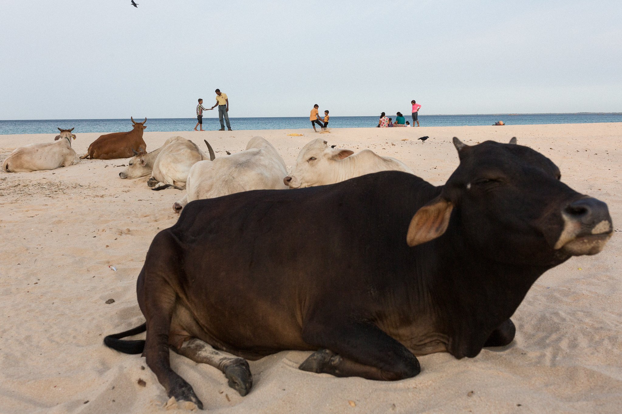 Trincomalee, Sri Lanka