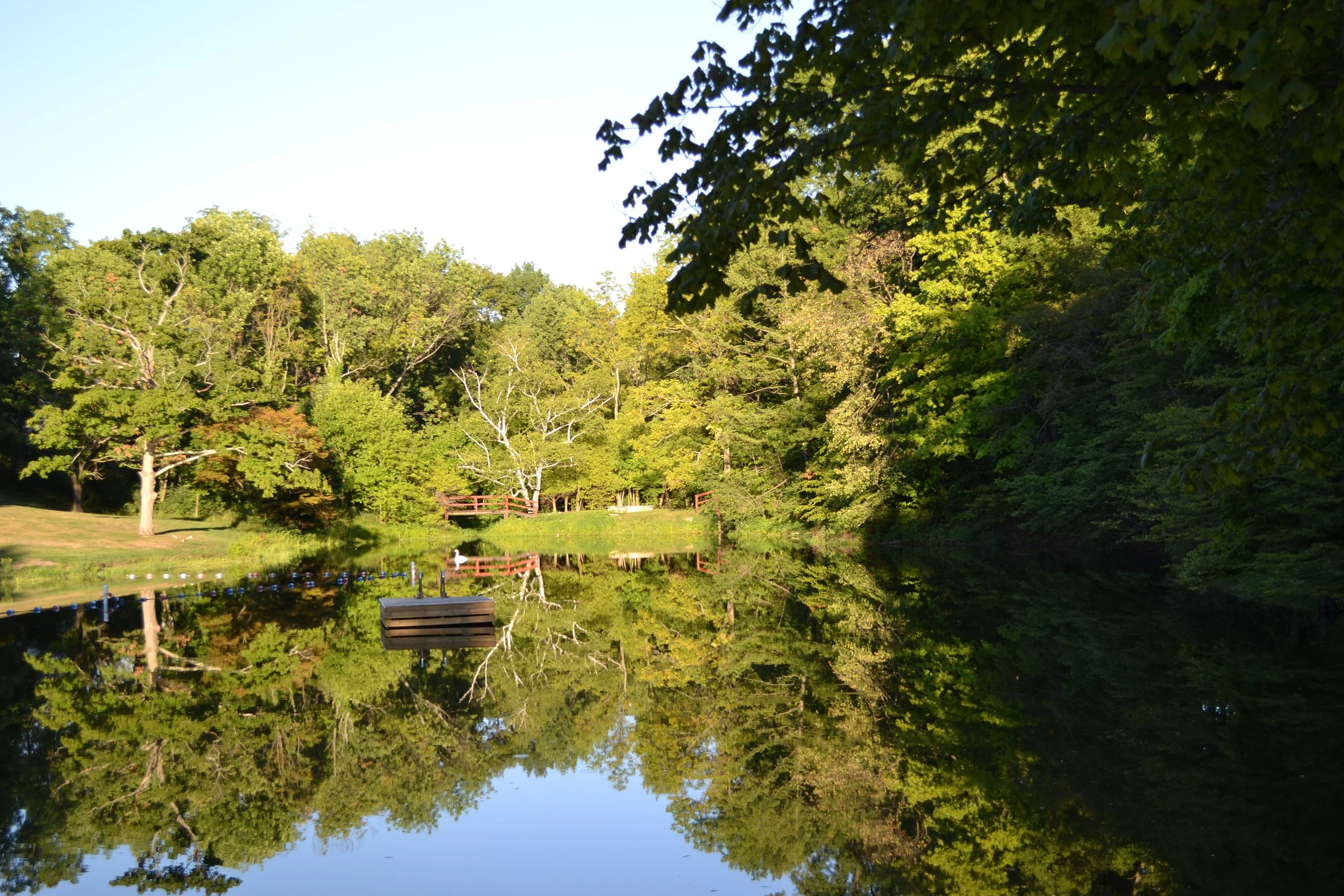 Four Seasons Community Association