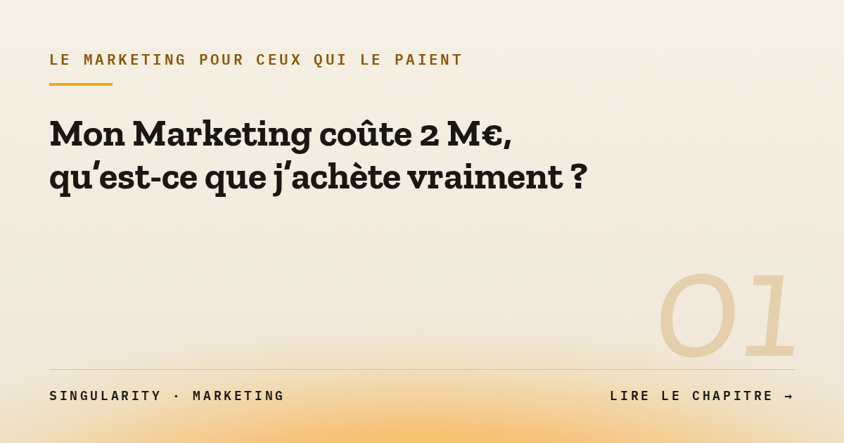 Page de couverture d'un document ou d'un livre avec le titre "Le marketing pour ceux qui le paient" et le sous-titre "Mon marketing coûte 2 M€, qu'est-ce que j'achète vraiment ?". La mise en page utilise des couleurs neutres, avec une mention "Singularity - Marketing" en bas à gauche et une incitation à lire le chapitre en bas à droite.
