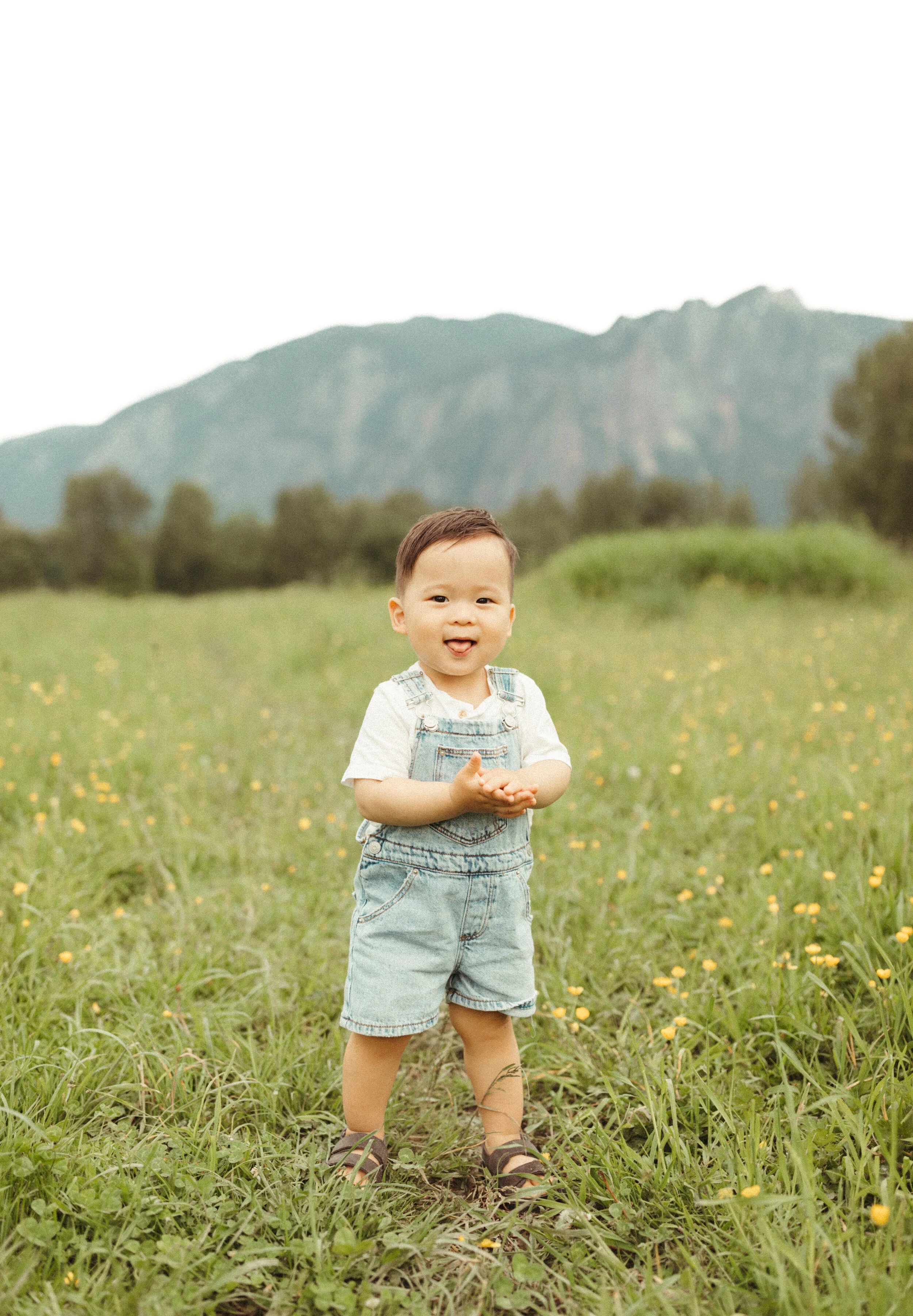 Toddler standing in field of grass with mountains in background.