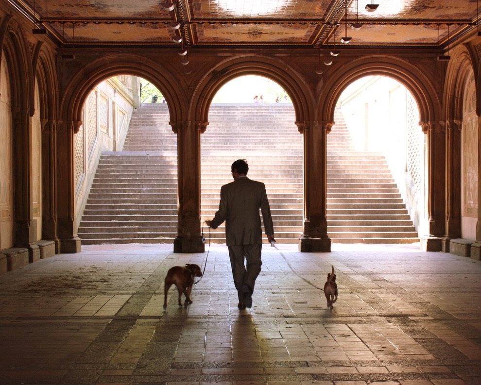 Central Park Bethesda Fountain