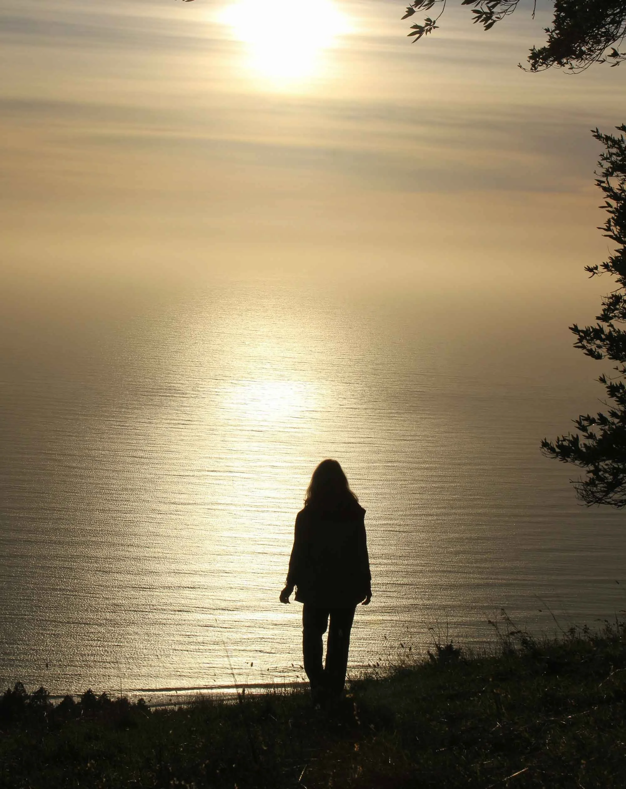 A person standing on a grassy hill, gazing at a calm body of water reflecting the sunlight.