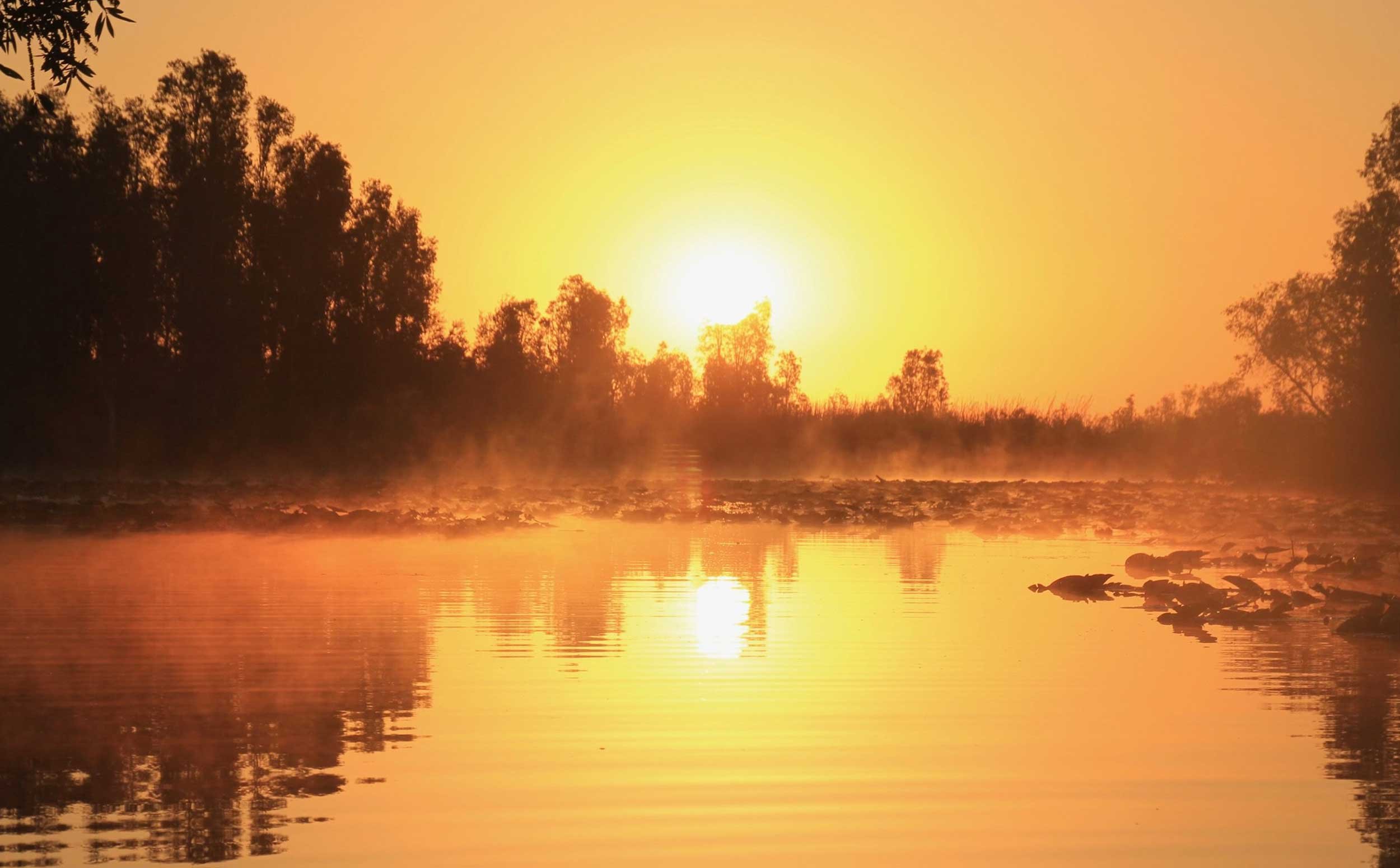 Sunset over a river with fog, reflecting trees on both banks, and lily pads floating on the water.
