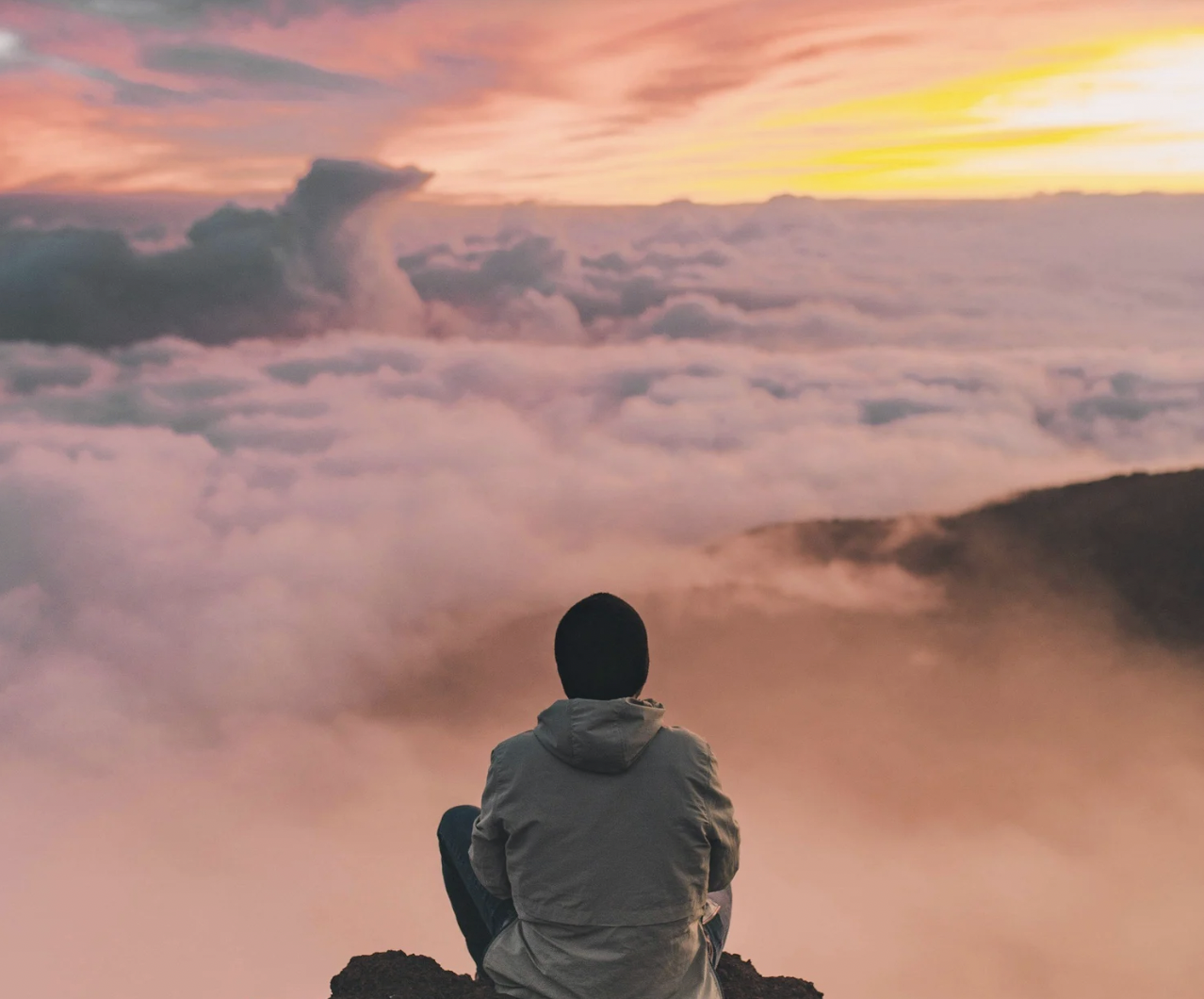 Regression & Revisualization