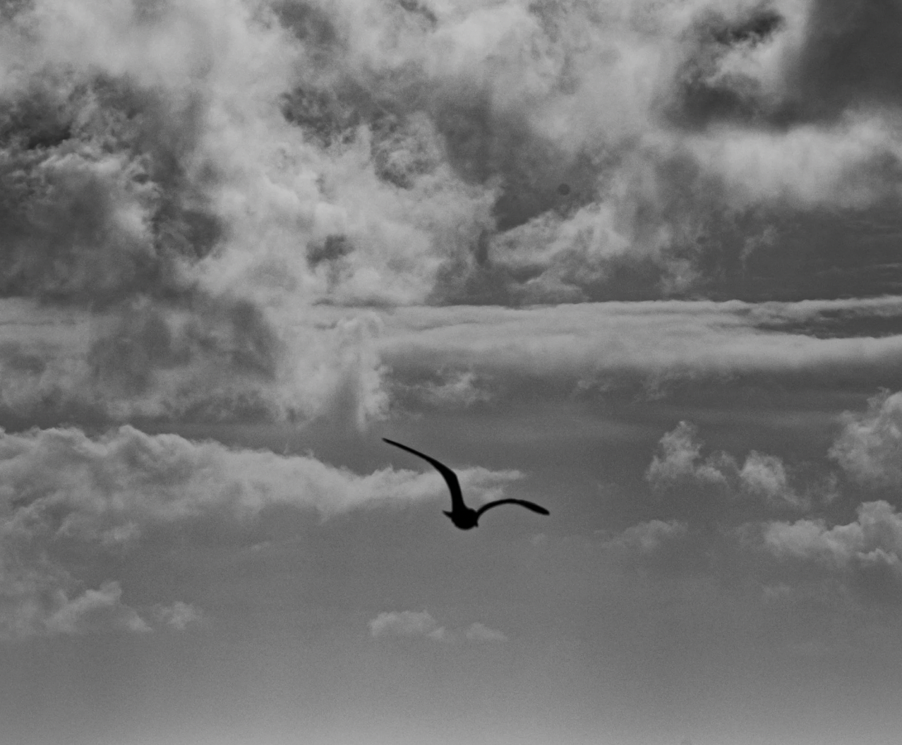 Why You Don't Feel Safe