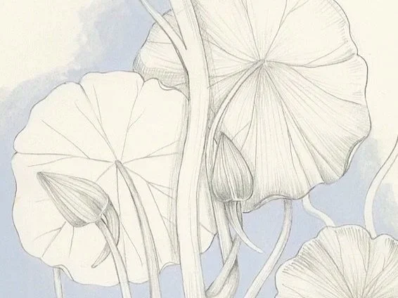 4_WeronikaAnnaRosa_Nasturtium.jpg