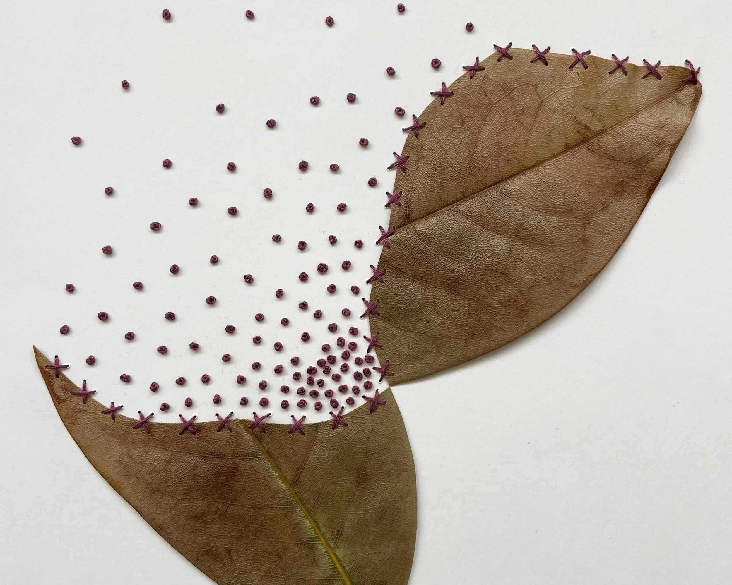 bordado+-+magnolia.jpg