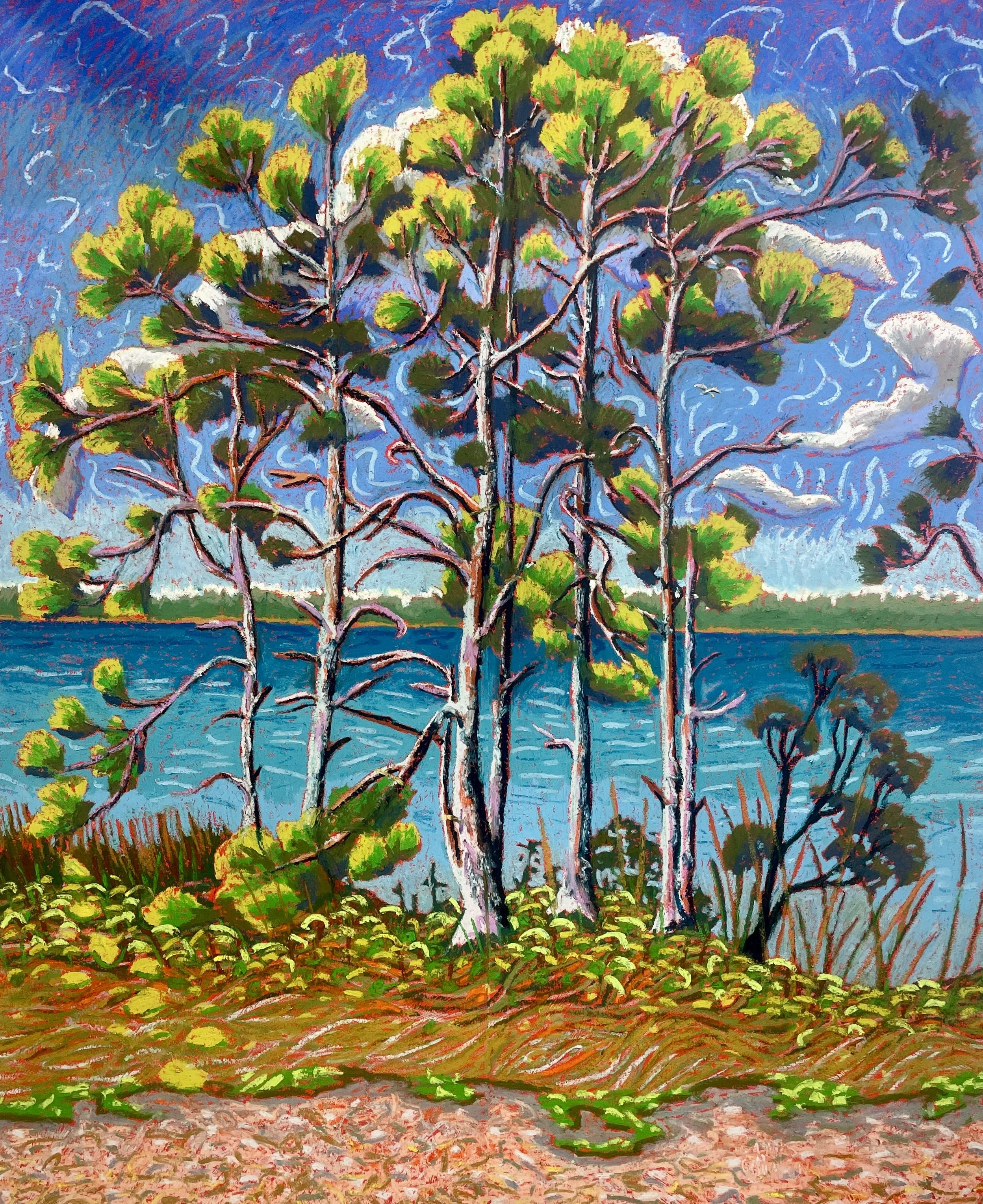 Gulf Shores, an oil pastel painting by Alabama artist Banks Compton depicting pine trees overlooking the Gulf Coast.