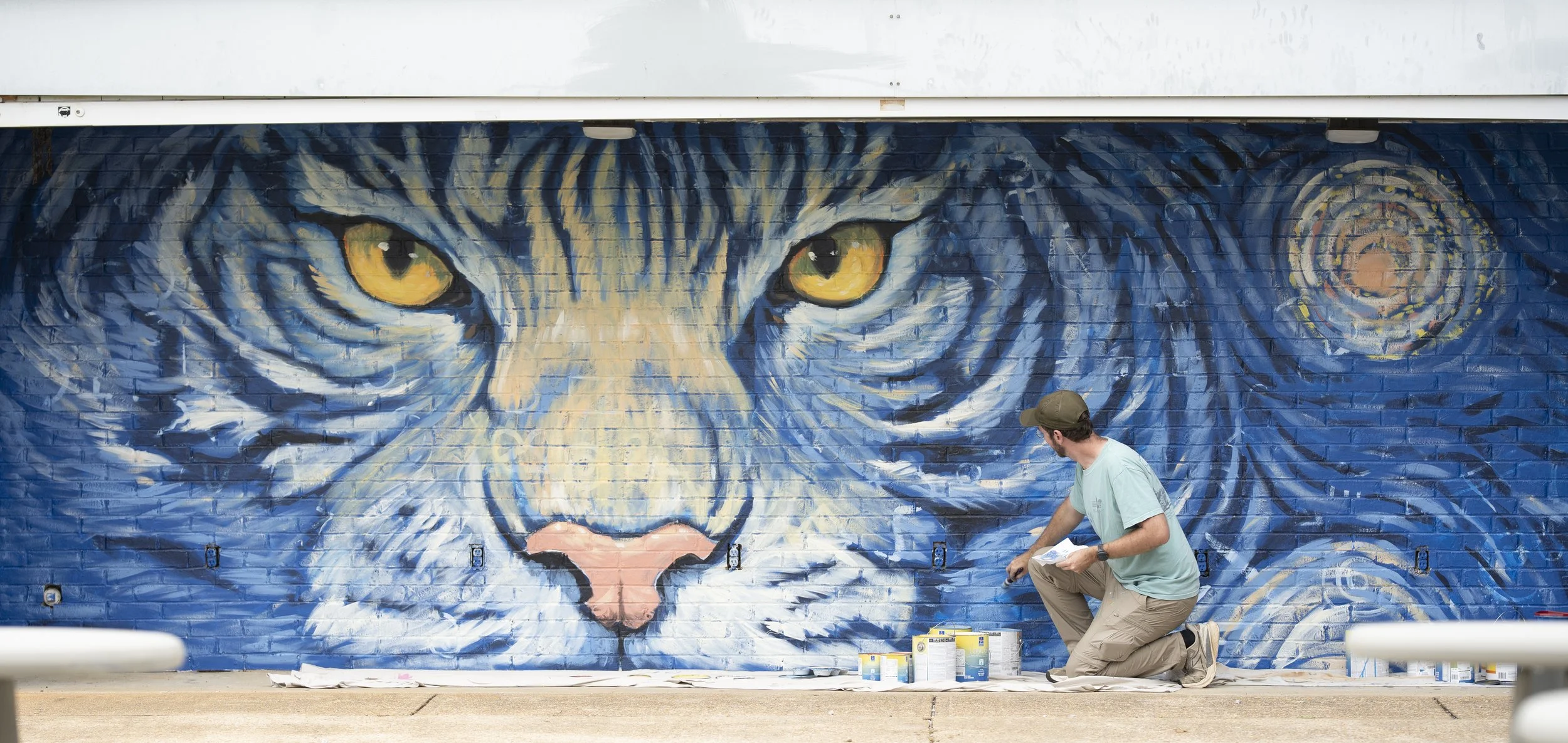 A man kneeling and painting a large mural of a tiger's face on a brick wall, with yellow eyes and a pink nose.