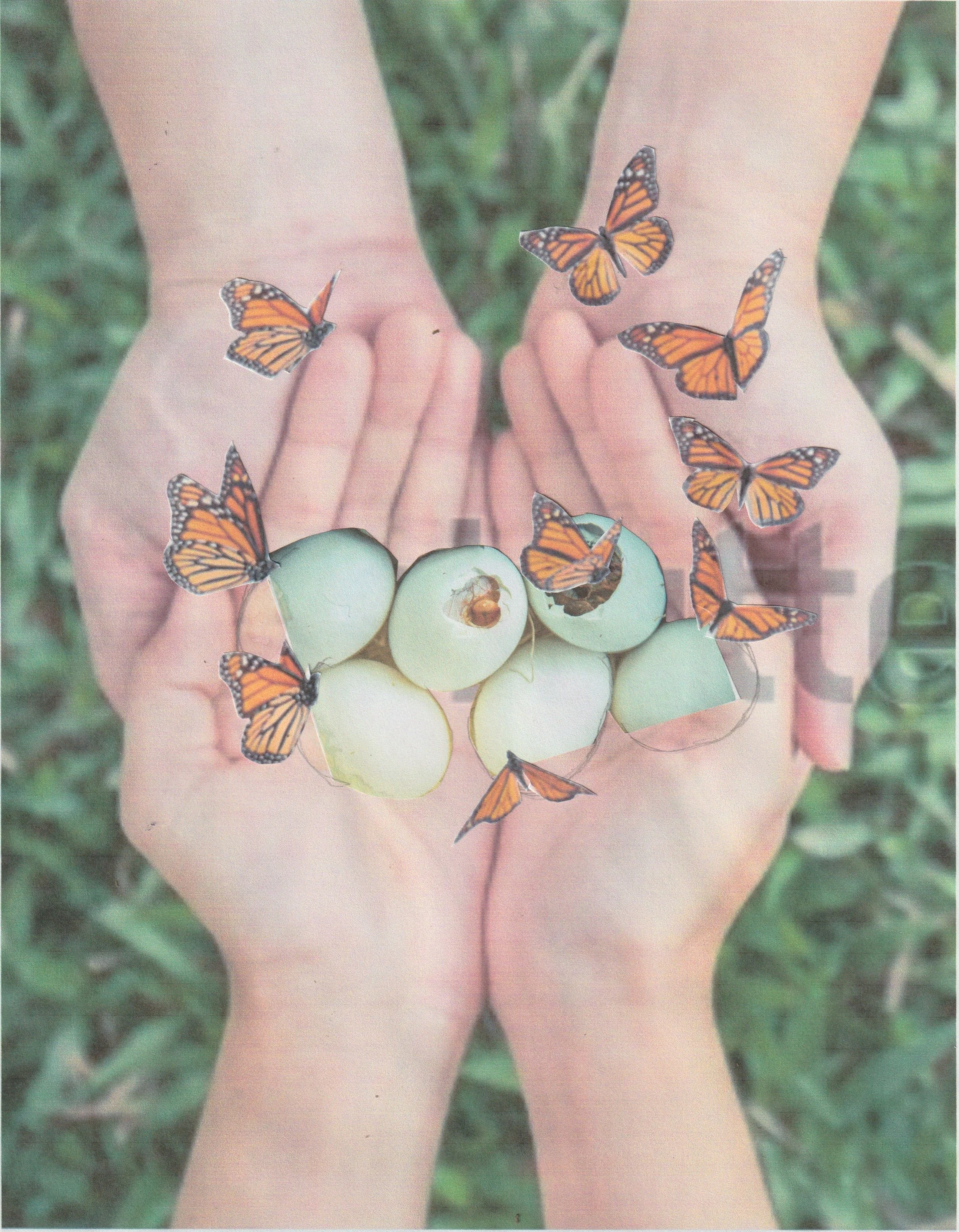 hands eggs butterflies collage.jpeg