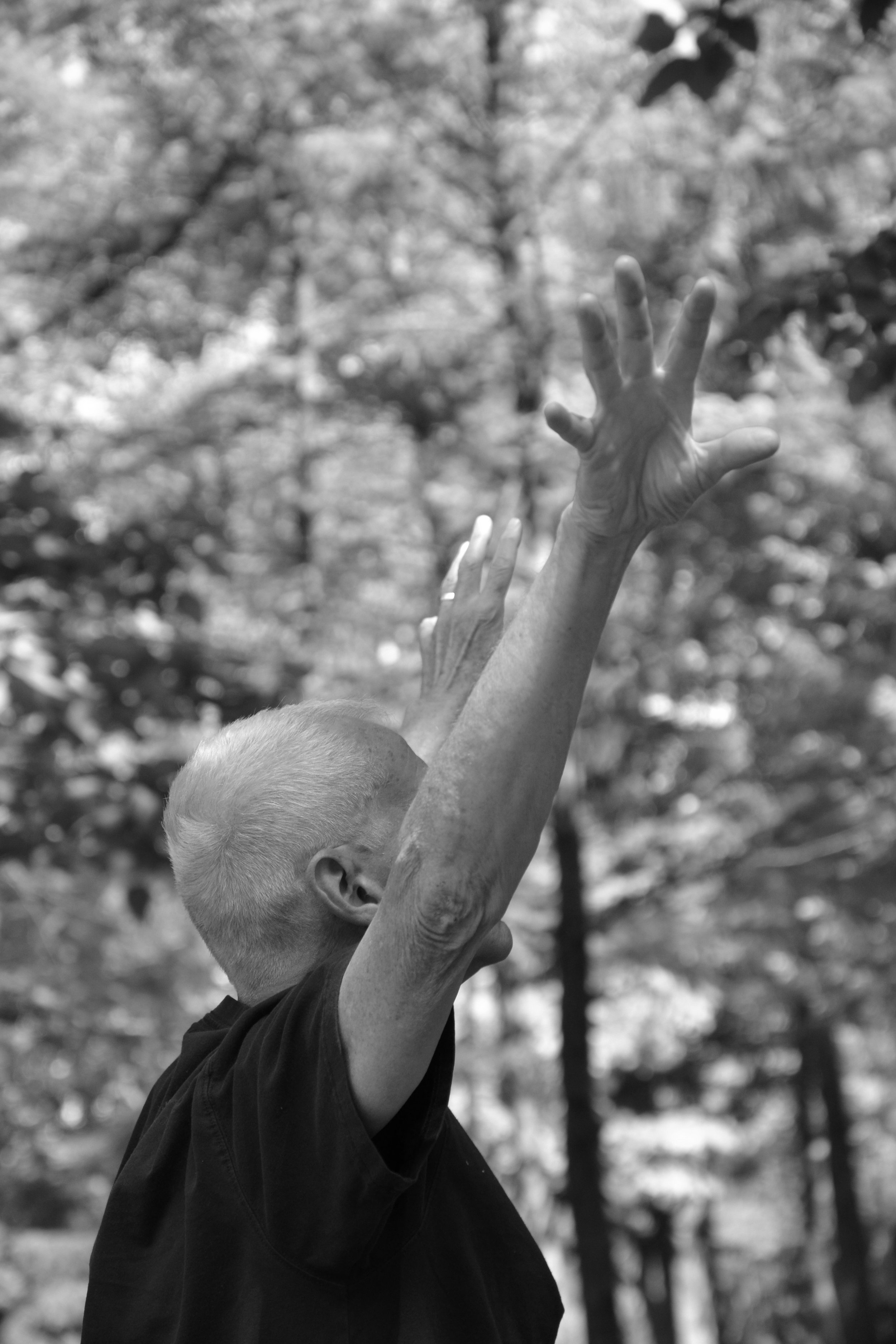 Exposition autour du projet Promenades Intérieures de la compagnie Emmanuel Jouthe - Danse Carpe Diem (photos argentiques)