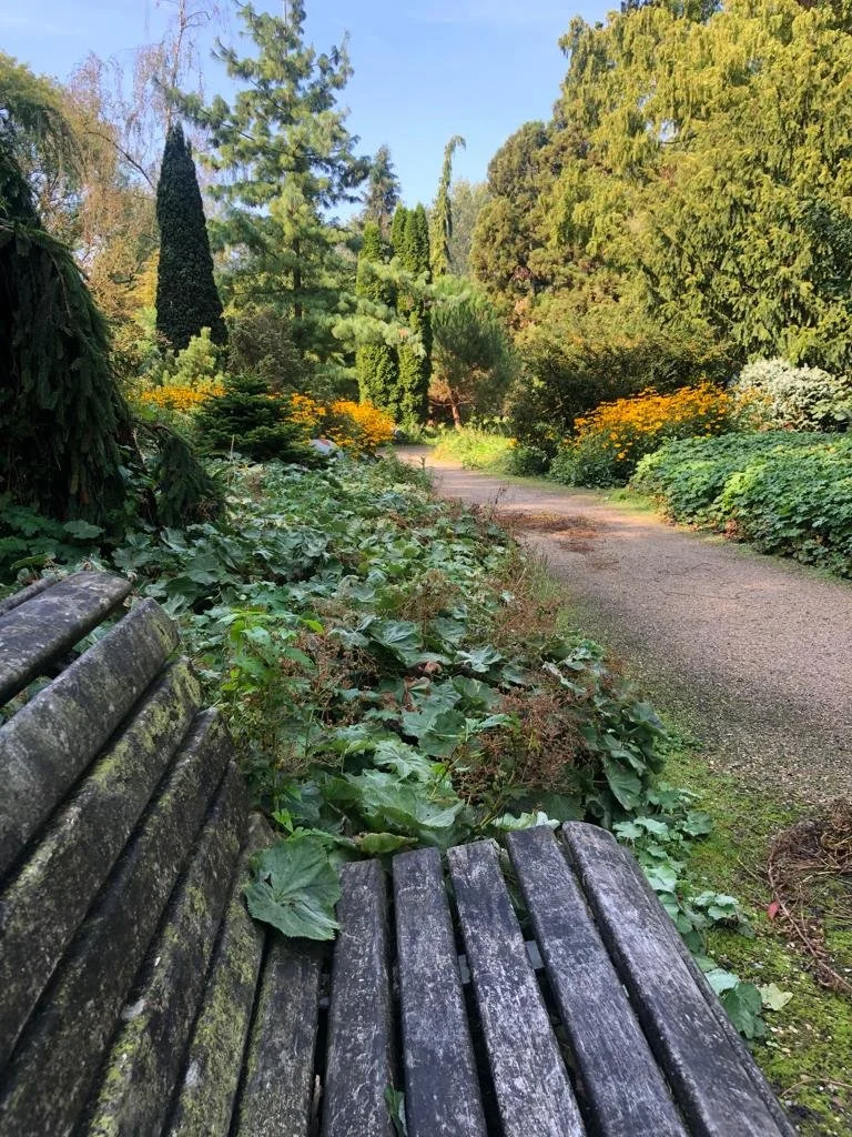 Awakening art - 1 daagse retreat voor vrouwen 