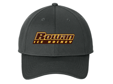 LOGO 1 GREY SNAP.png