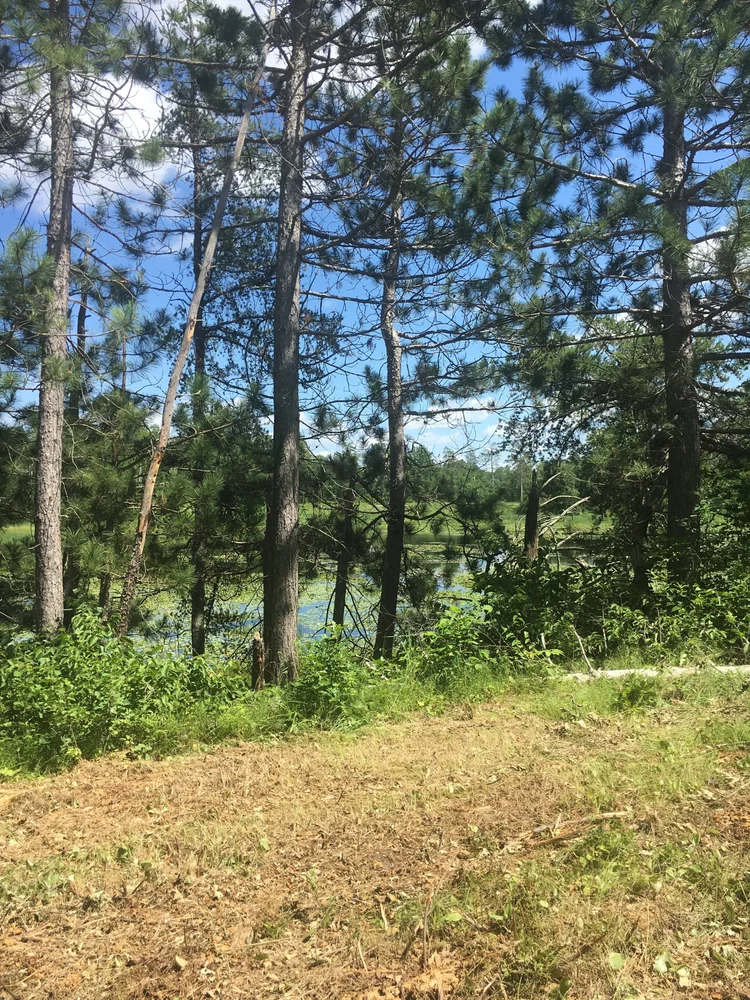 Northern minnesota addiction wellness center