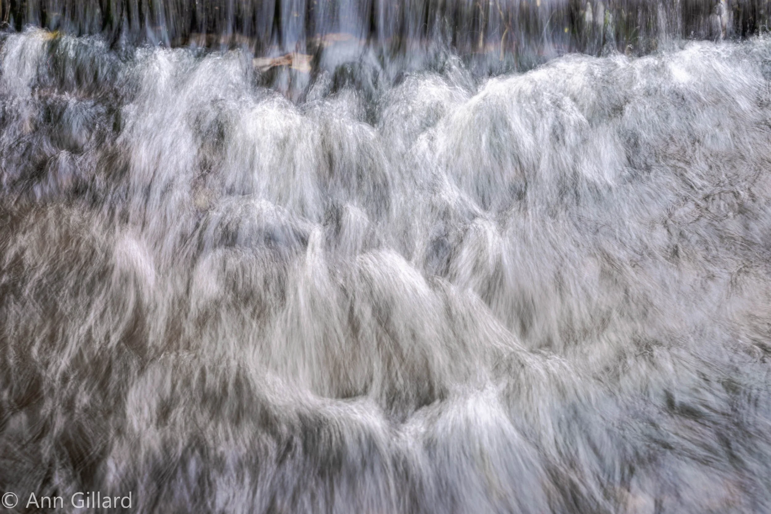 Dreams Of Immortality
Elkin Creek, NC 2025