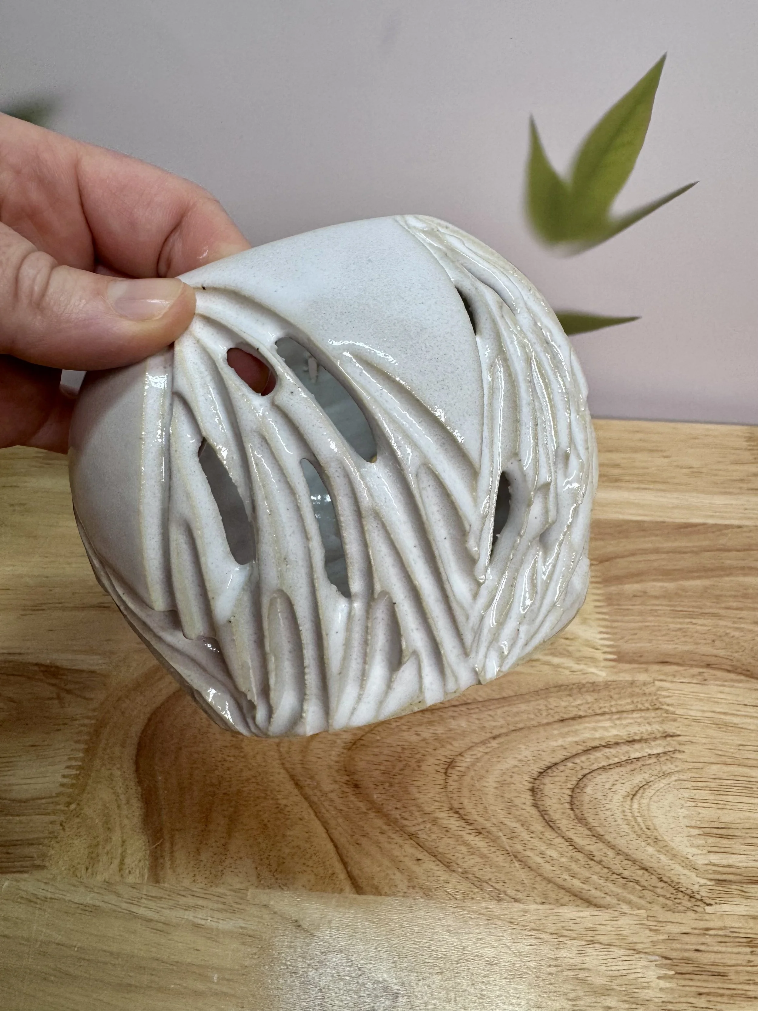 Photo Mar 20 2026, 7 14 49 PM.jpg