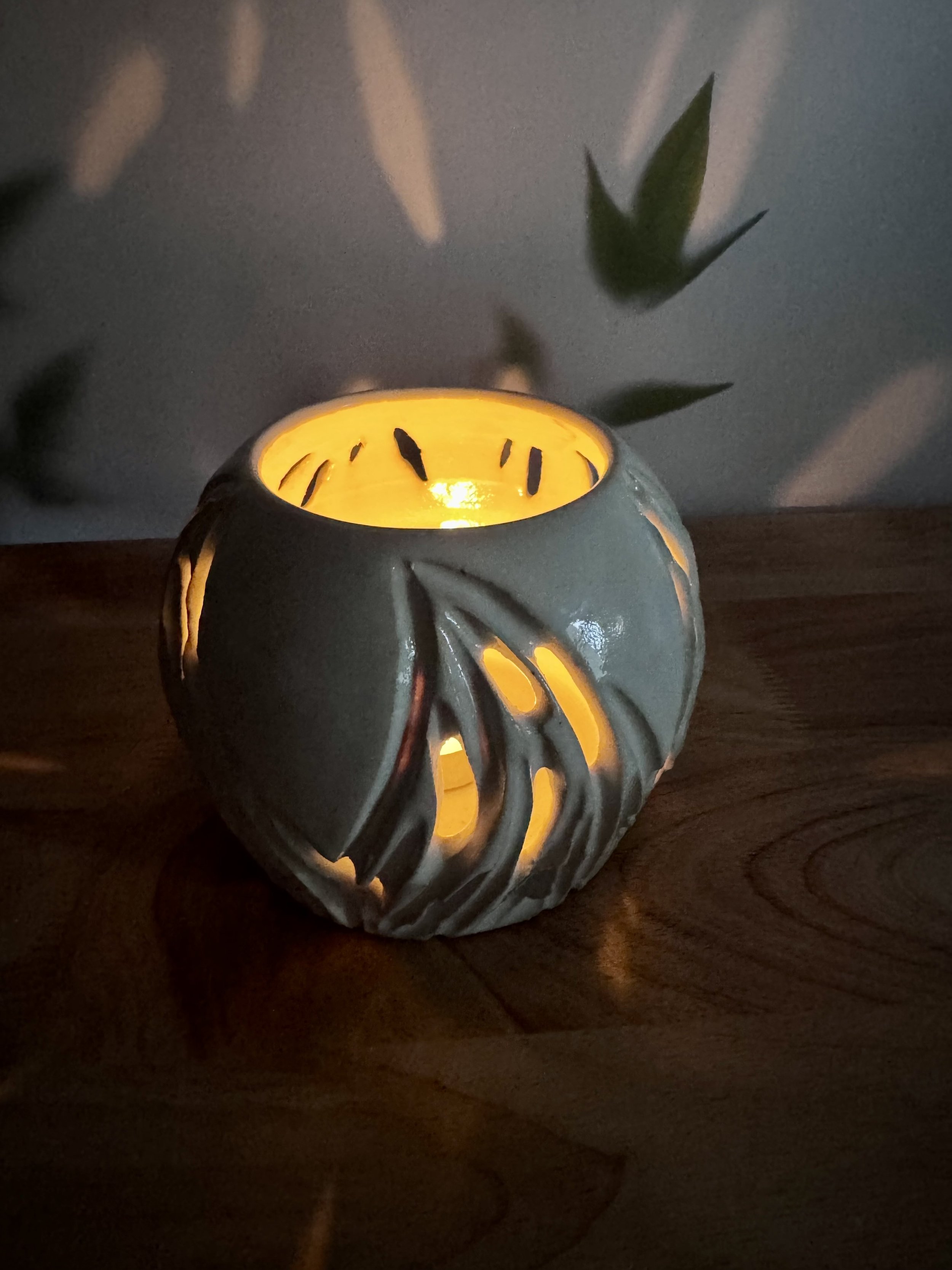 Photo Mar 20 2026, 7 16 17 PM.jpg