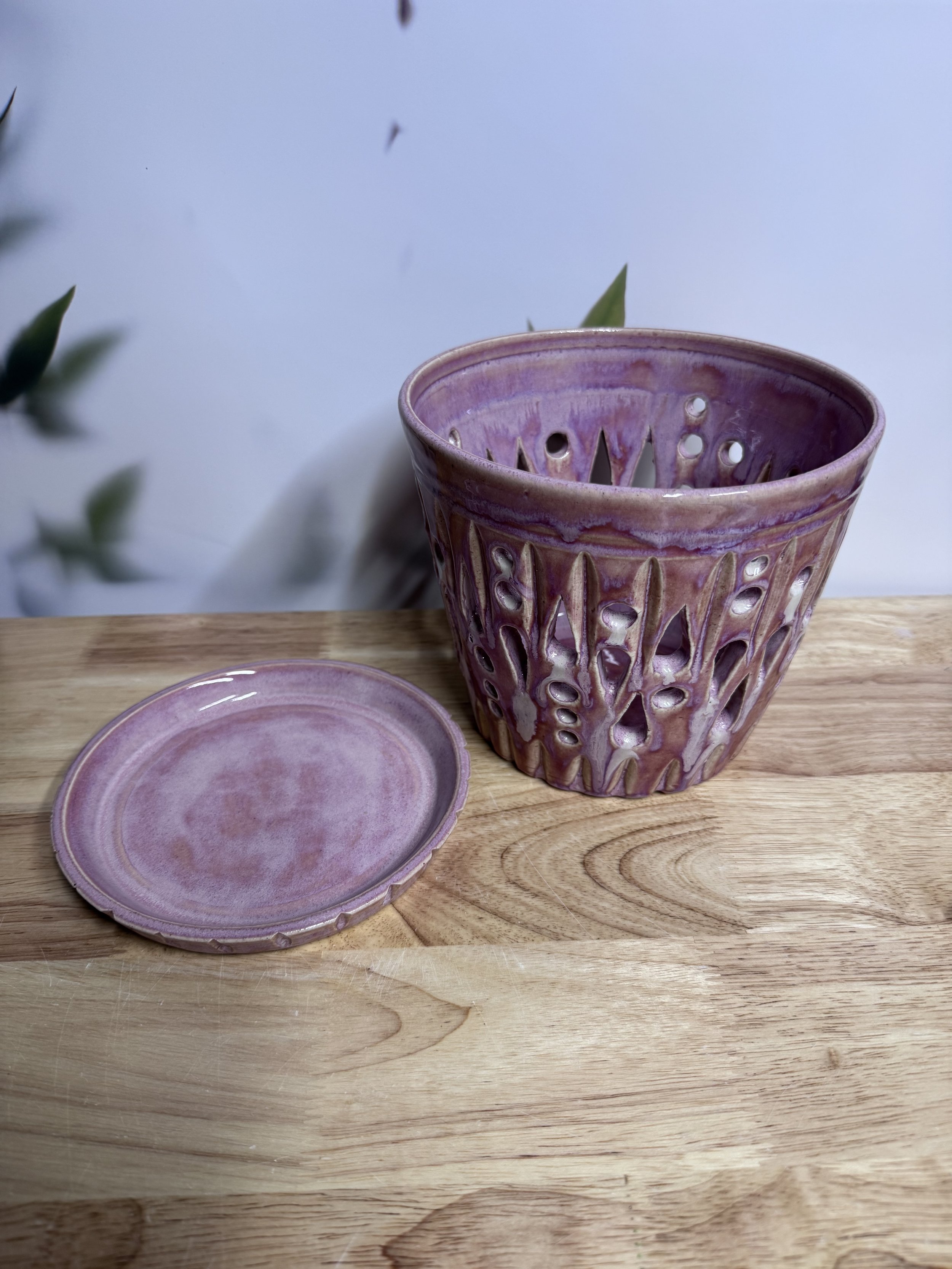 Photo Mar 20 2026, 7 33 56 PM.jpg