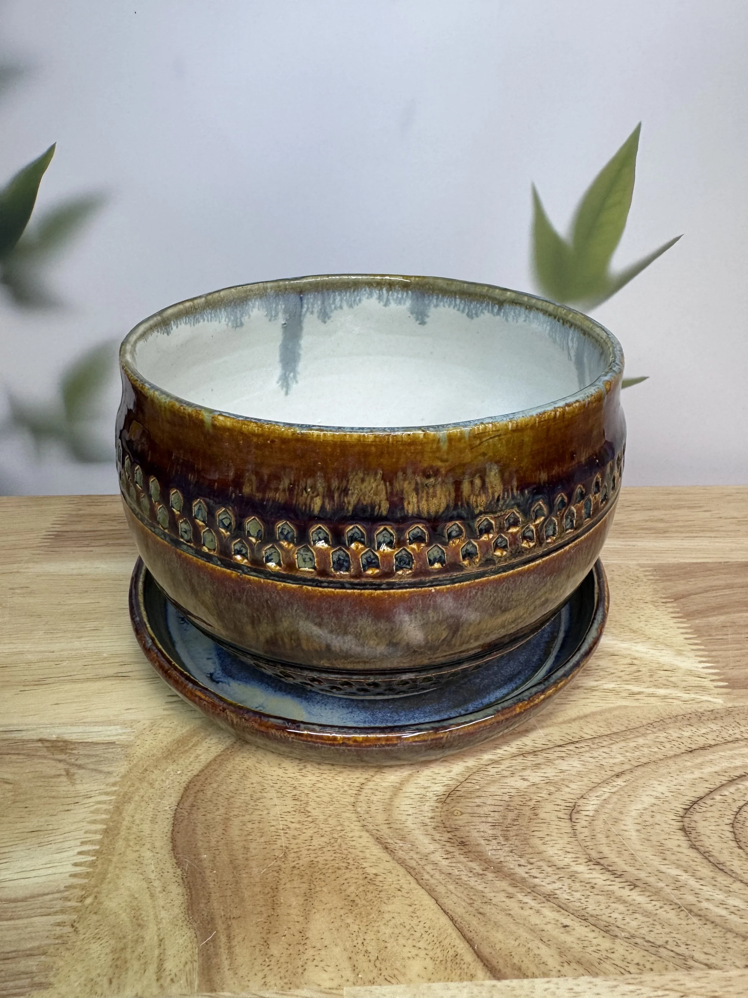 Photo Mar 20 2026, 9 01 07 PM.jpg