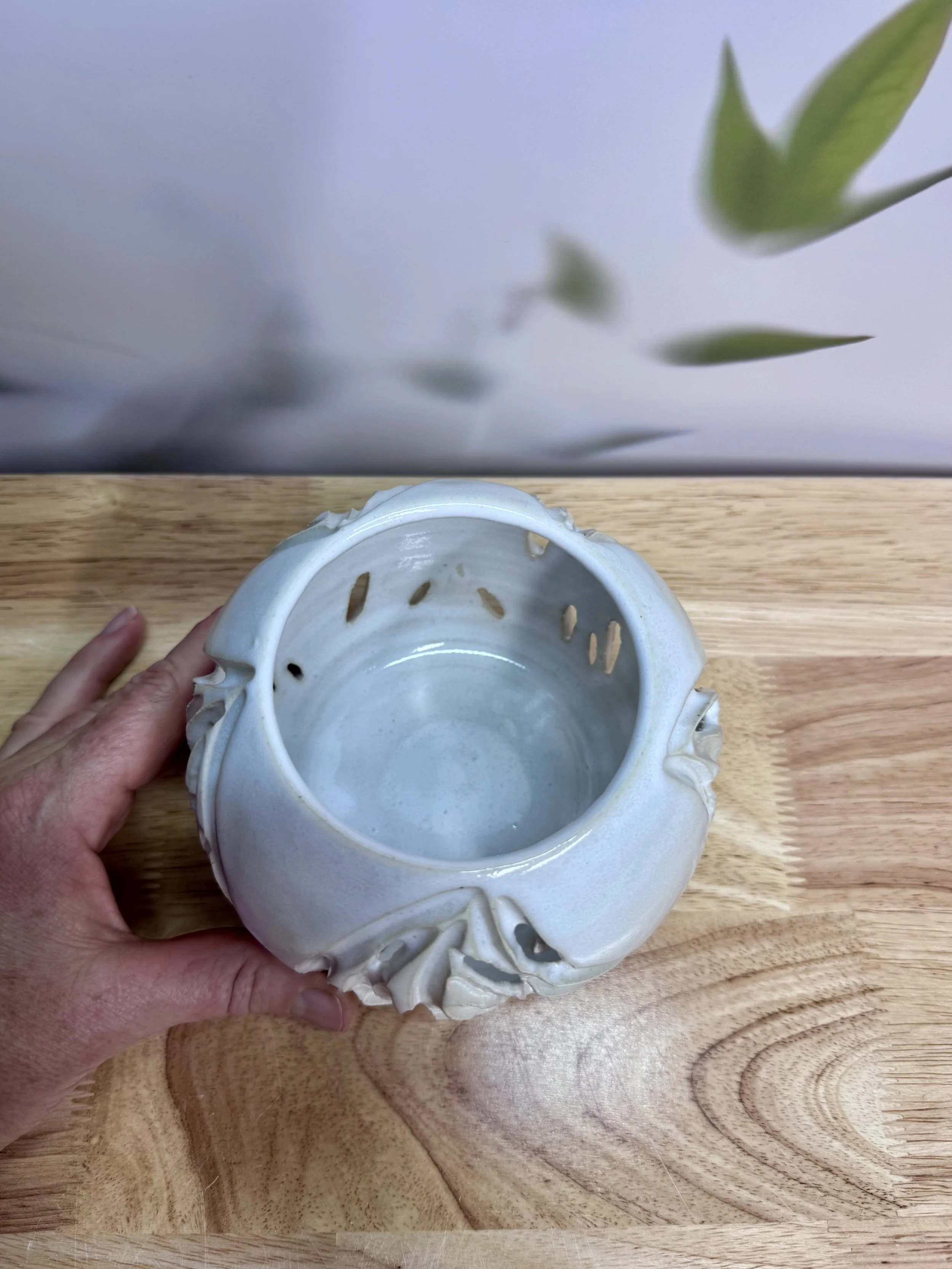 Photo Mar 20 2026, 7 14 38 PM.jpg