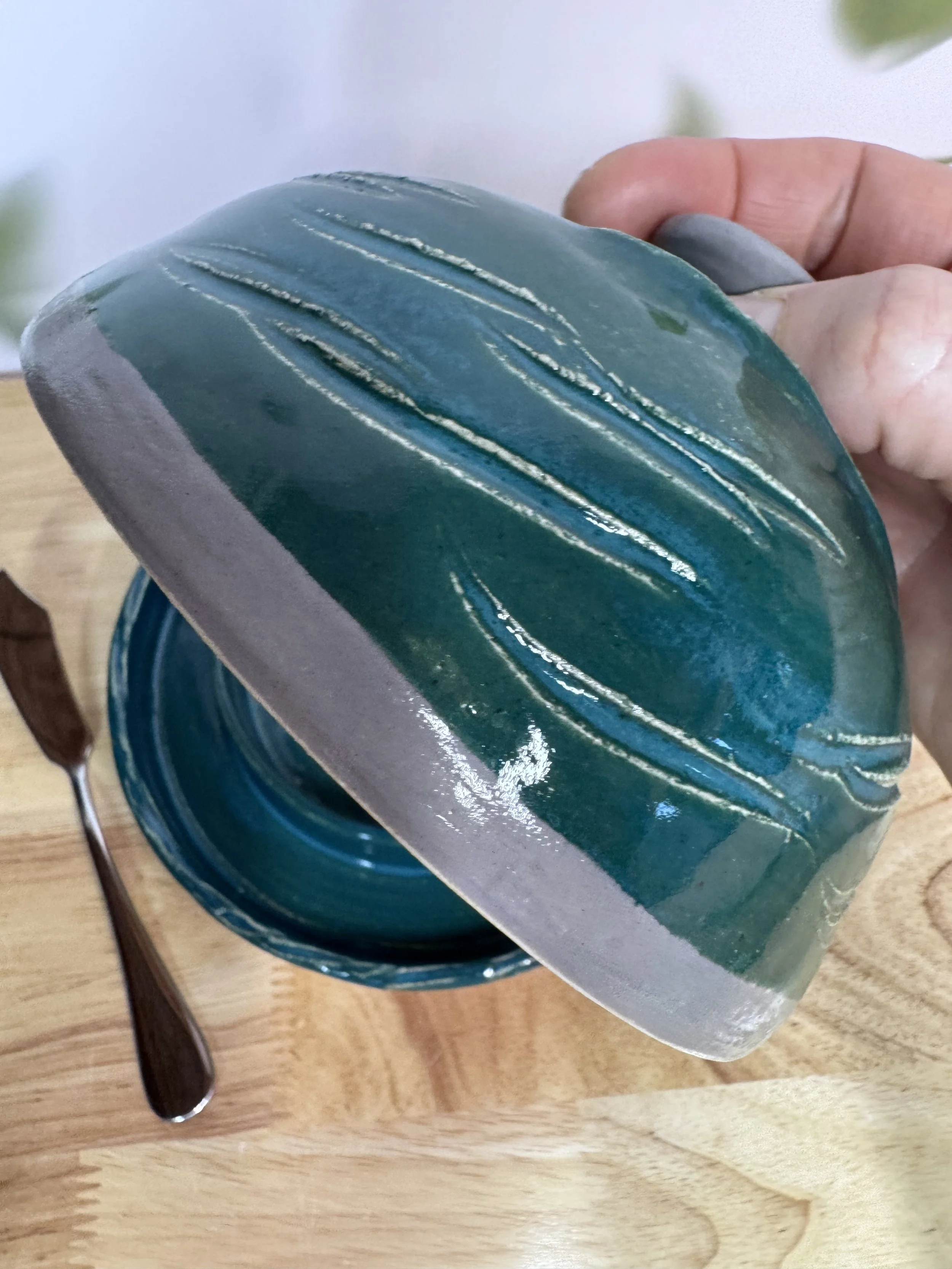 Photo Mar 20 2026, 6 54 39 PM.jpg