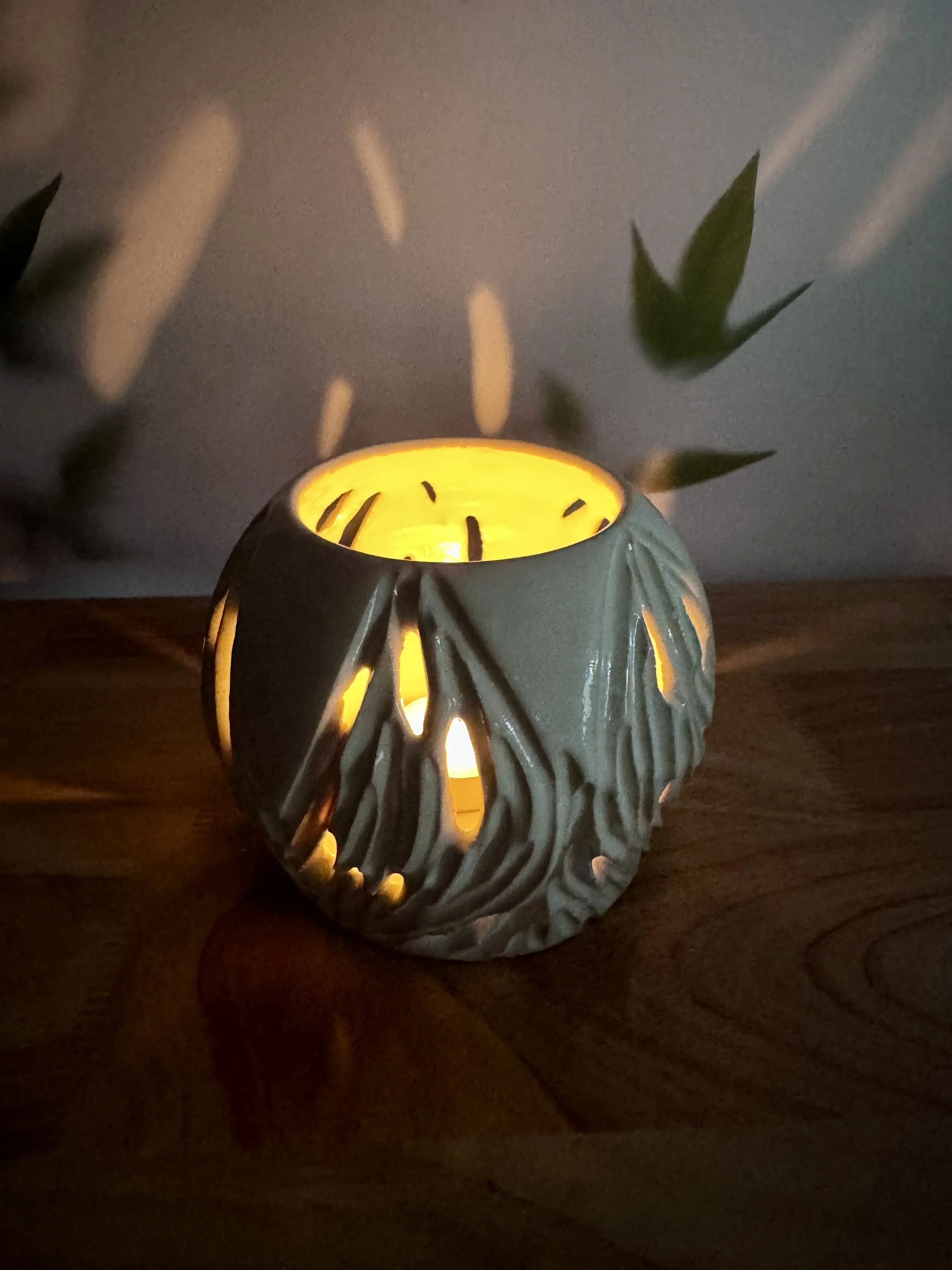 Photo Mar 20 2026, 7 16 24 PM.jpg