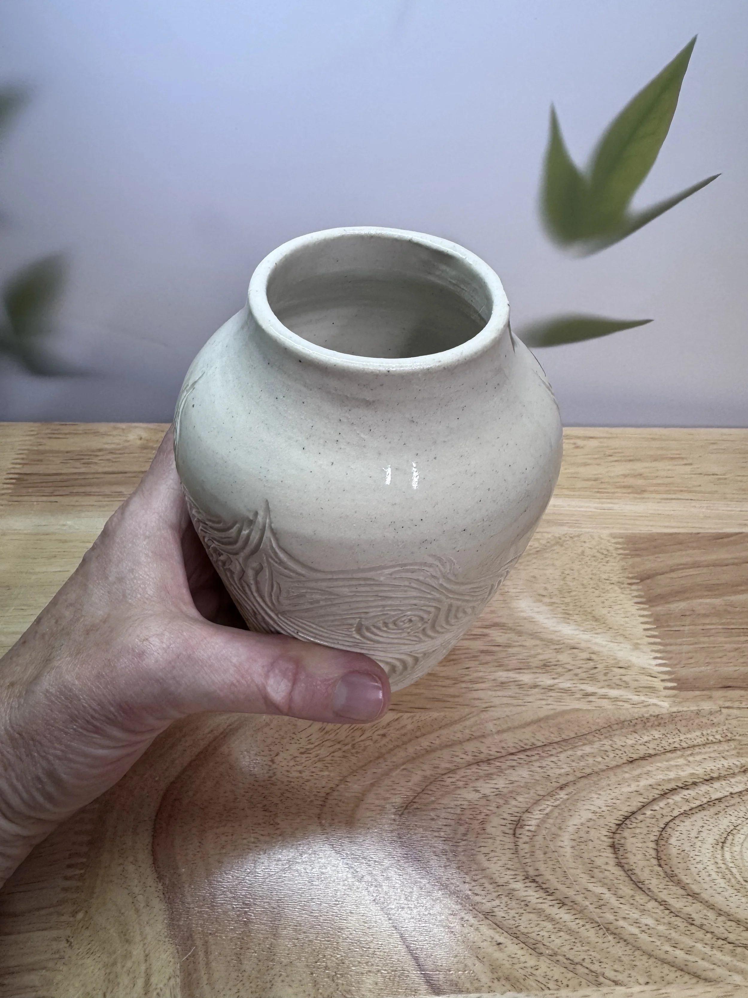 Photo Mar 20 2026, 8 49 32 PM.jpg