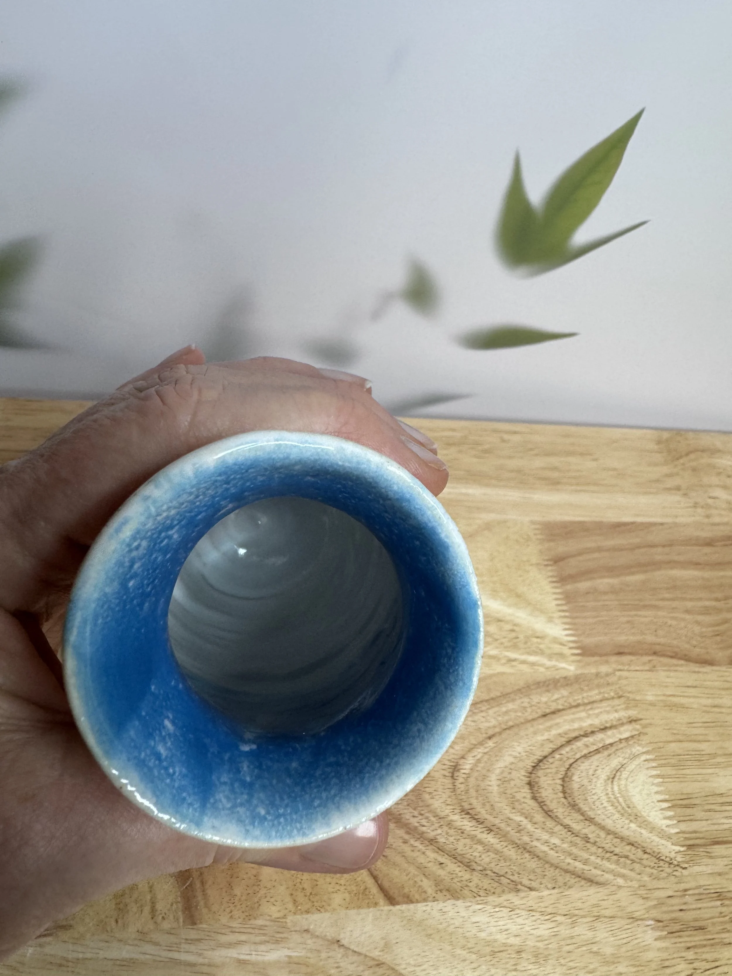 Photo Mar 20 2026, 8 14 32 PM.jpg