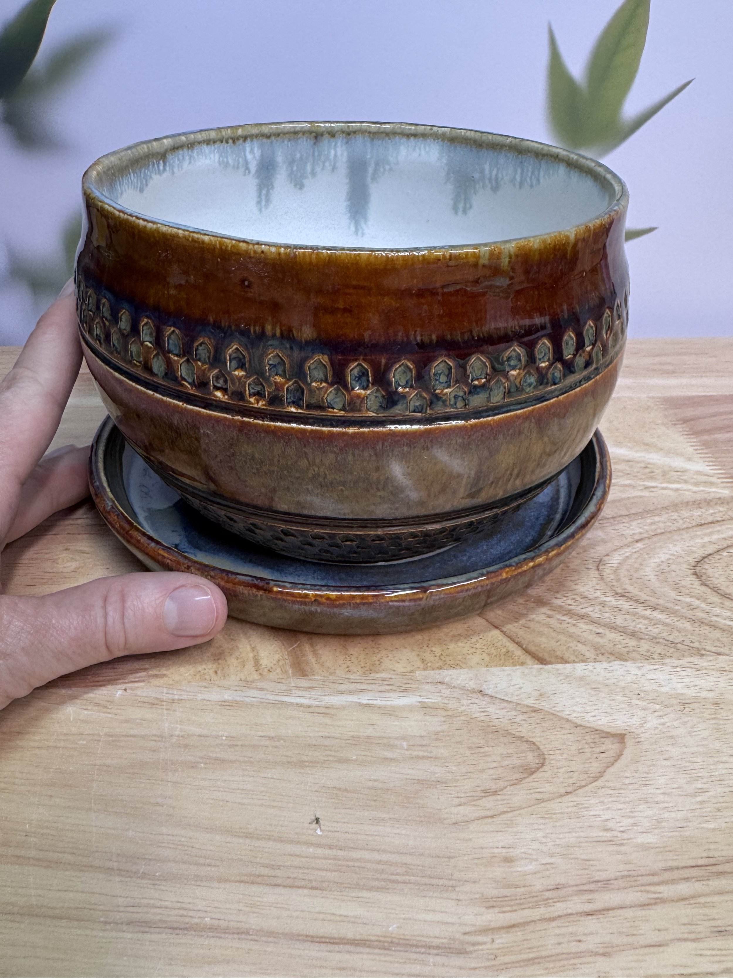 Photo Mar 20 2026, 9 02 26 PM.jpg