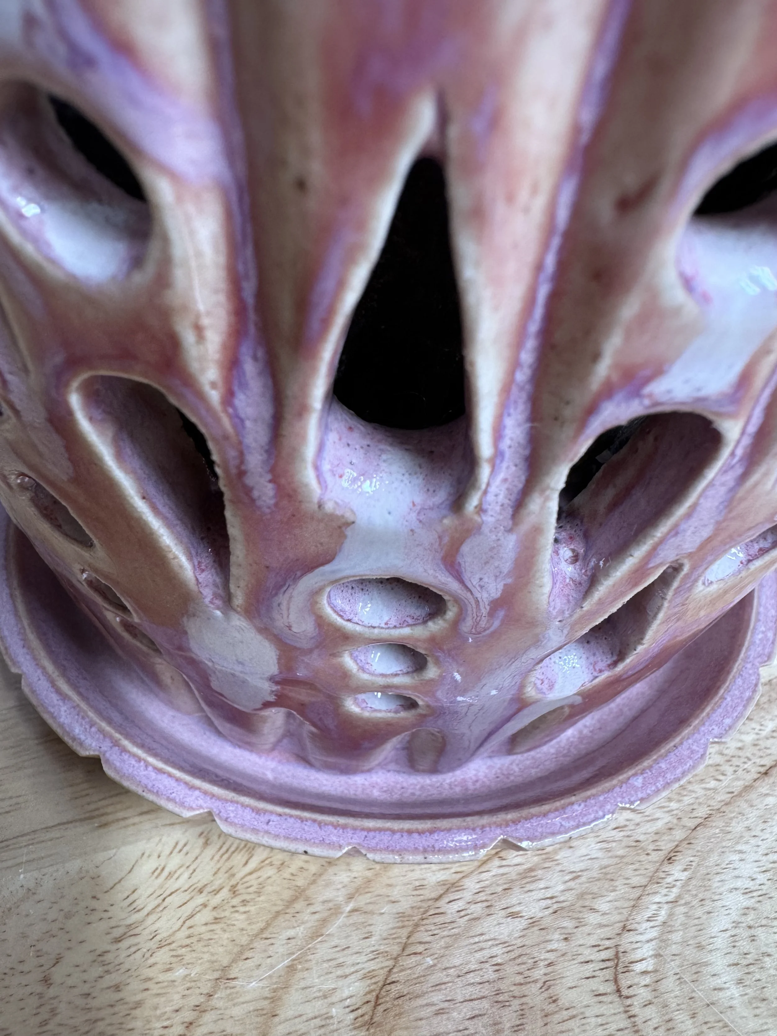 Photo Mar 20 2026, 7 31 27 PM.jpg