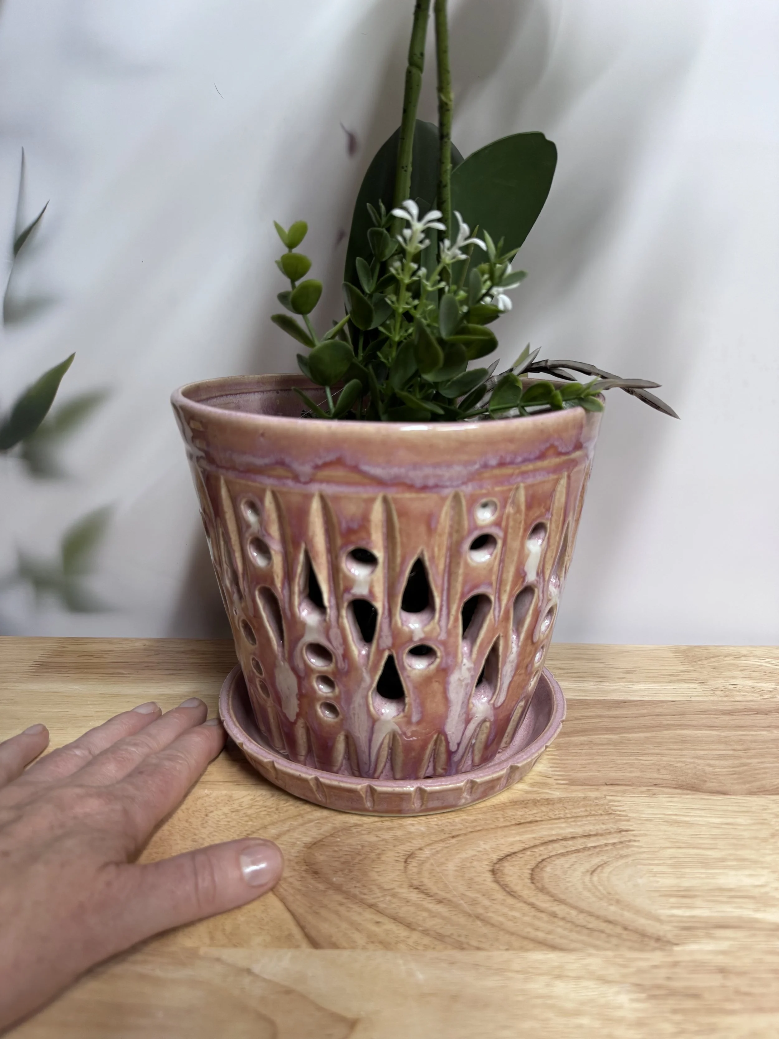 Photo Mar 20 2026, 7 31 10 PM.jpg