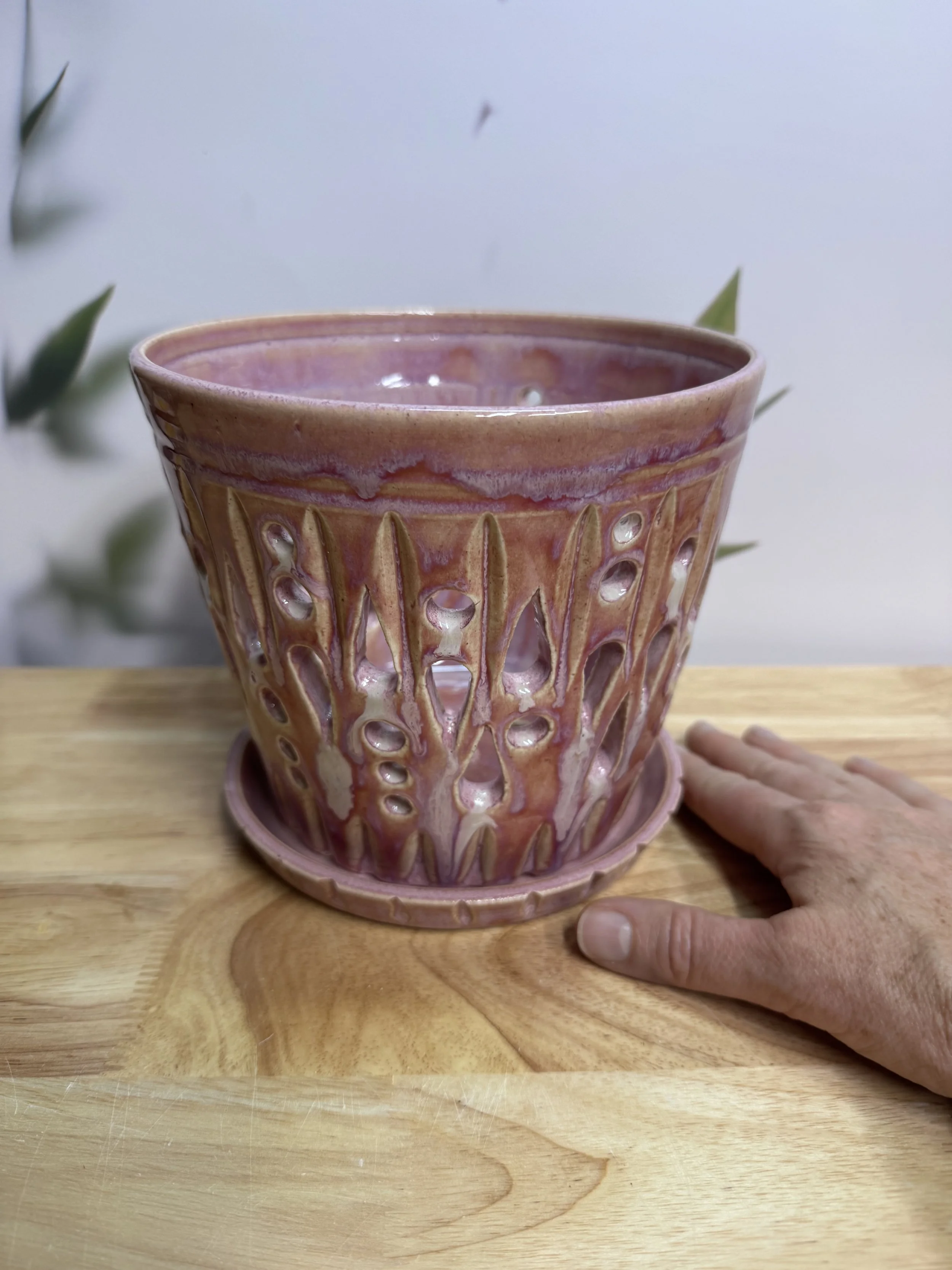 Photo Mar 20 2026, 7 34 42 PM.jpg