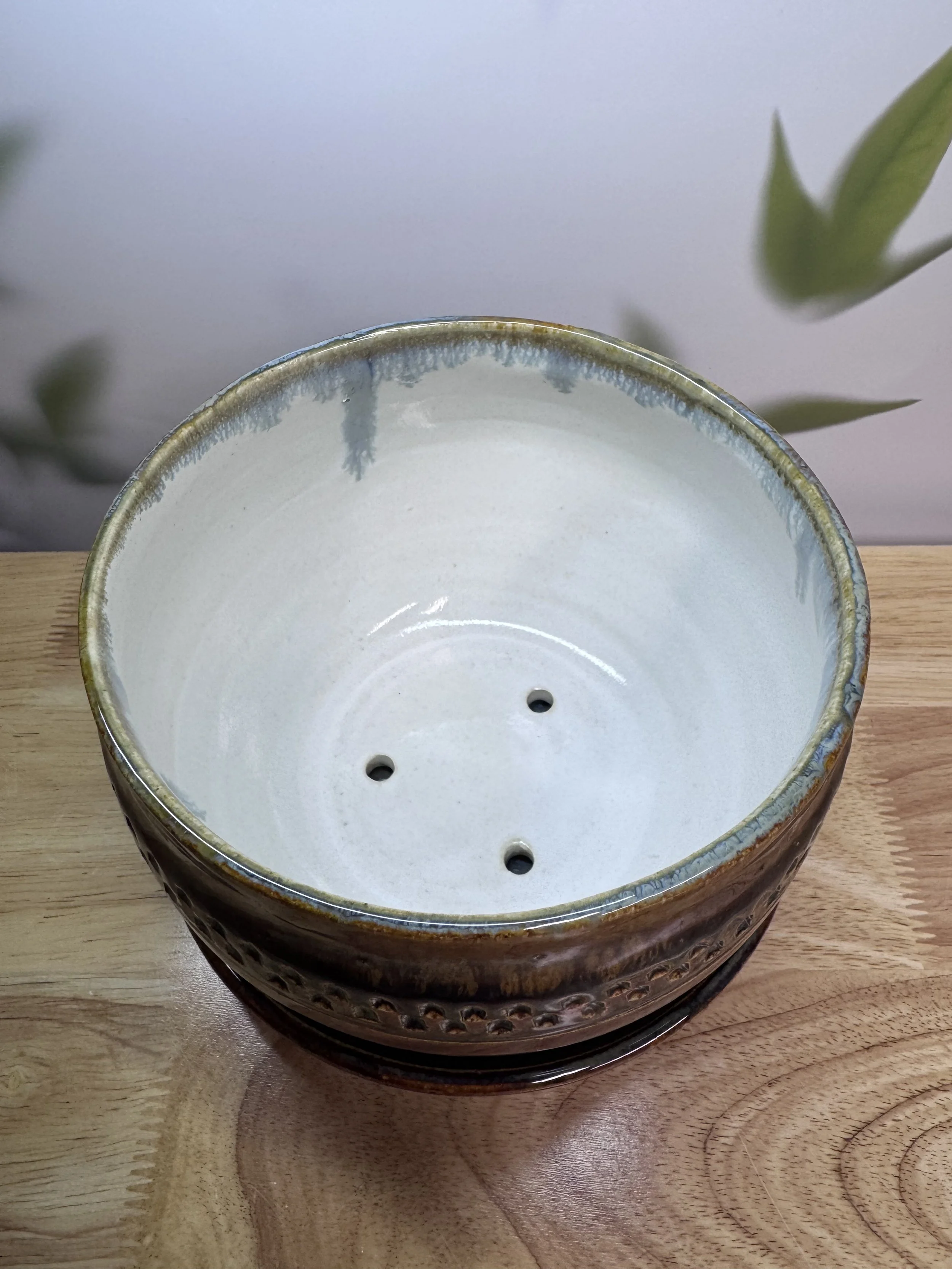 Photo Mar 20 2026, 9 01 17 PM.jpg