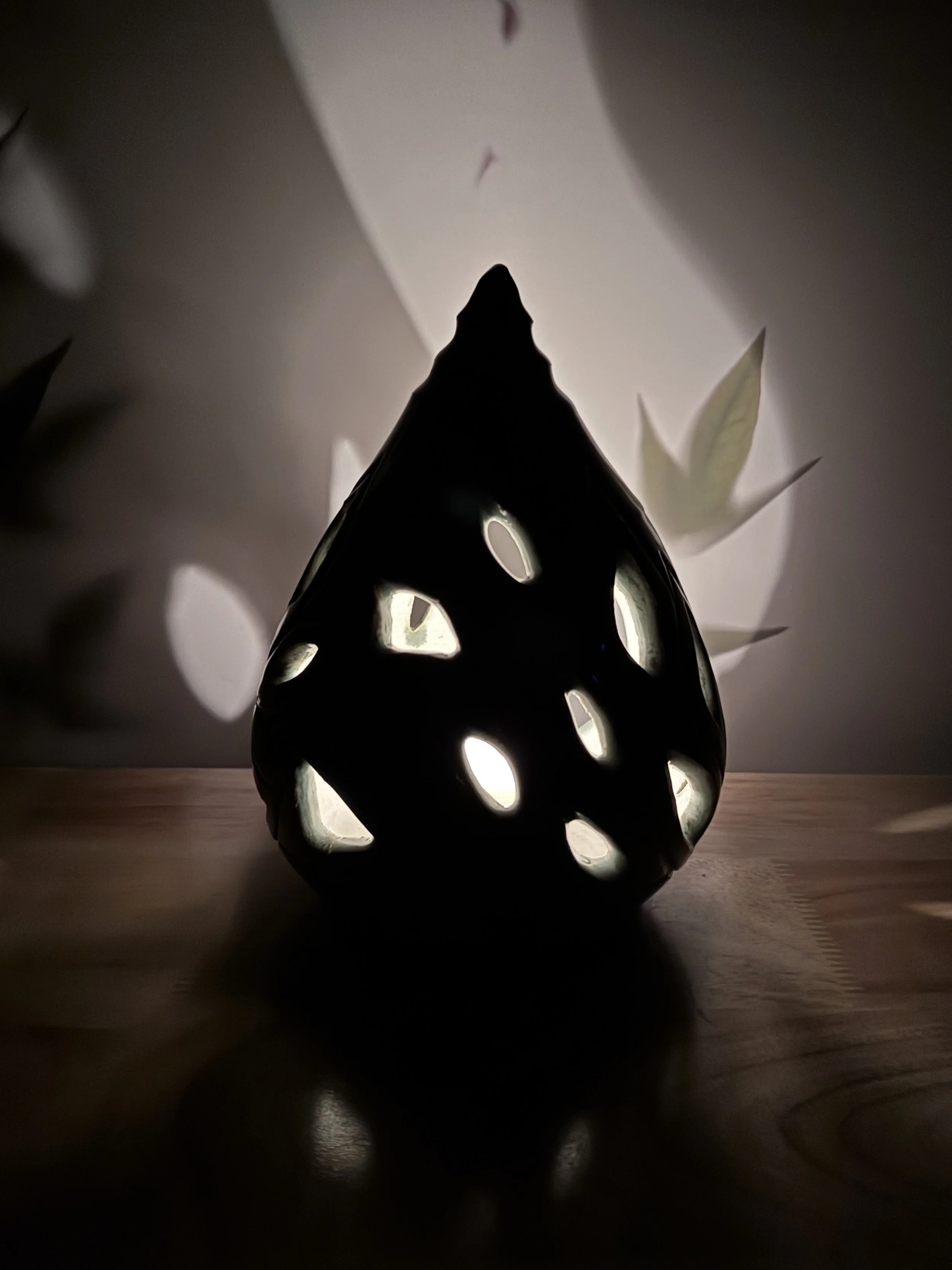 Photo Mar 20 2026, 9 06 12 PM.jpg